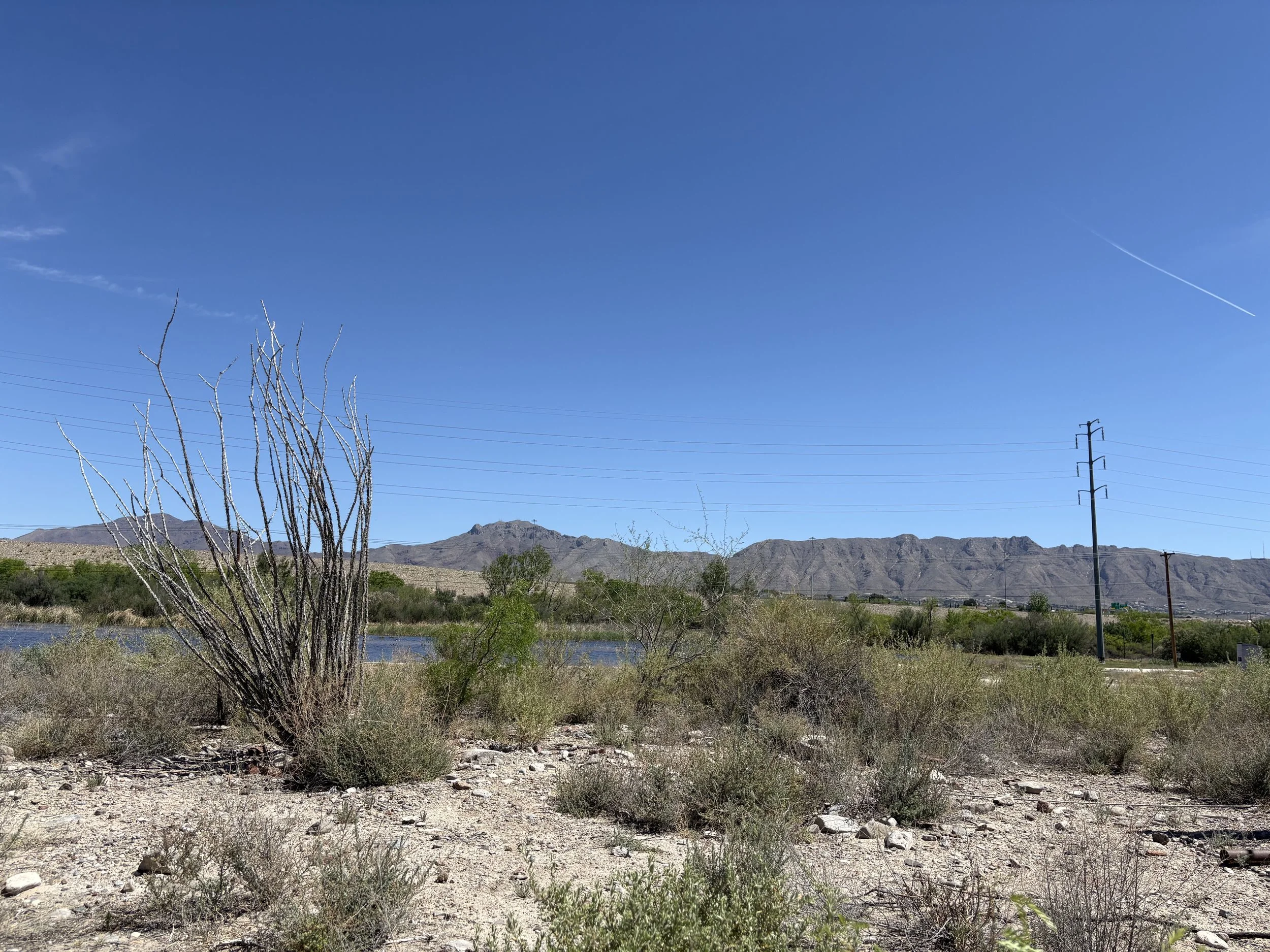Ocotillo, Wetlands, and Franklin Mountains (April 2026)