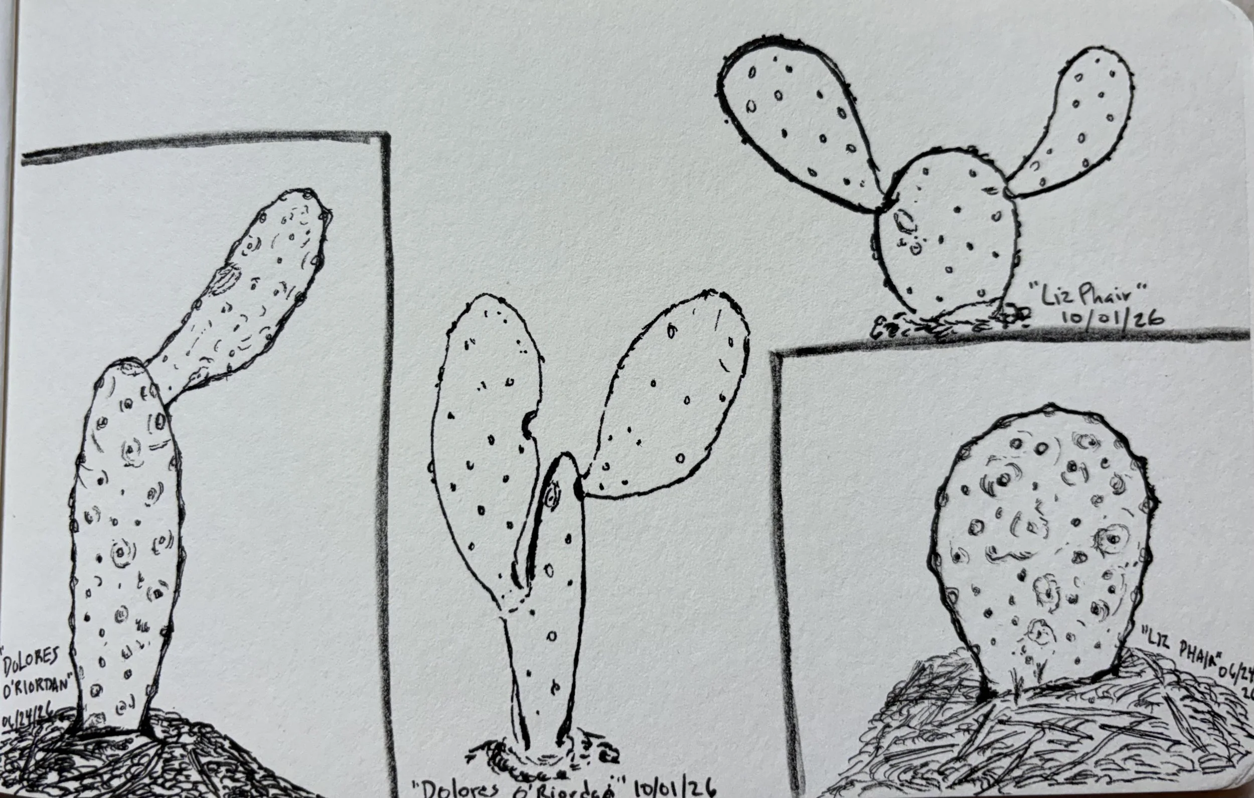 Cacti doodlin' (June + October 2026)