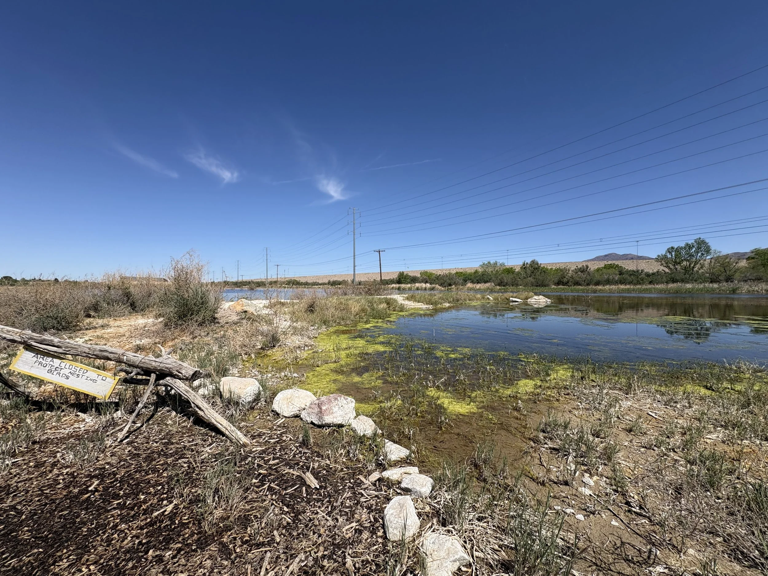 Wetlands (April 2026)