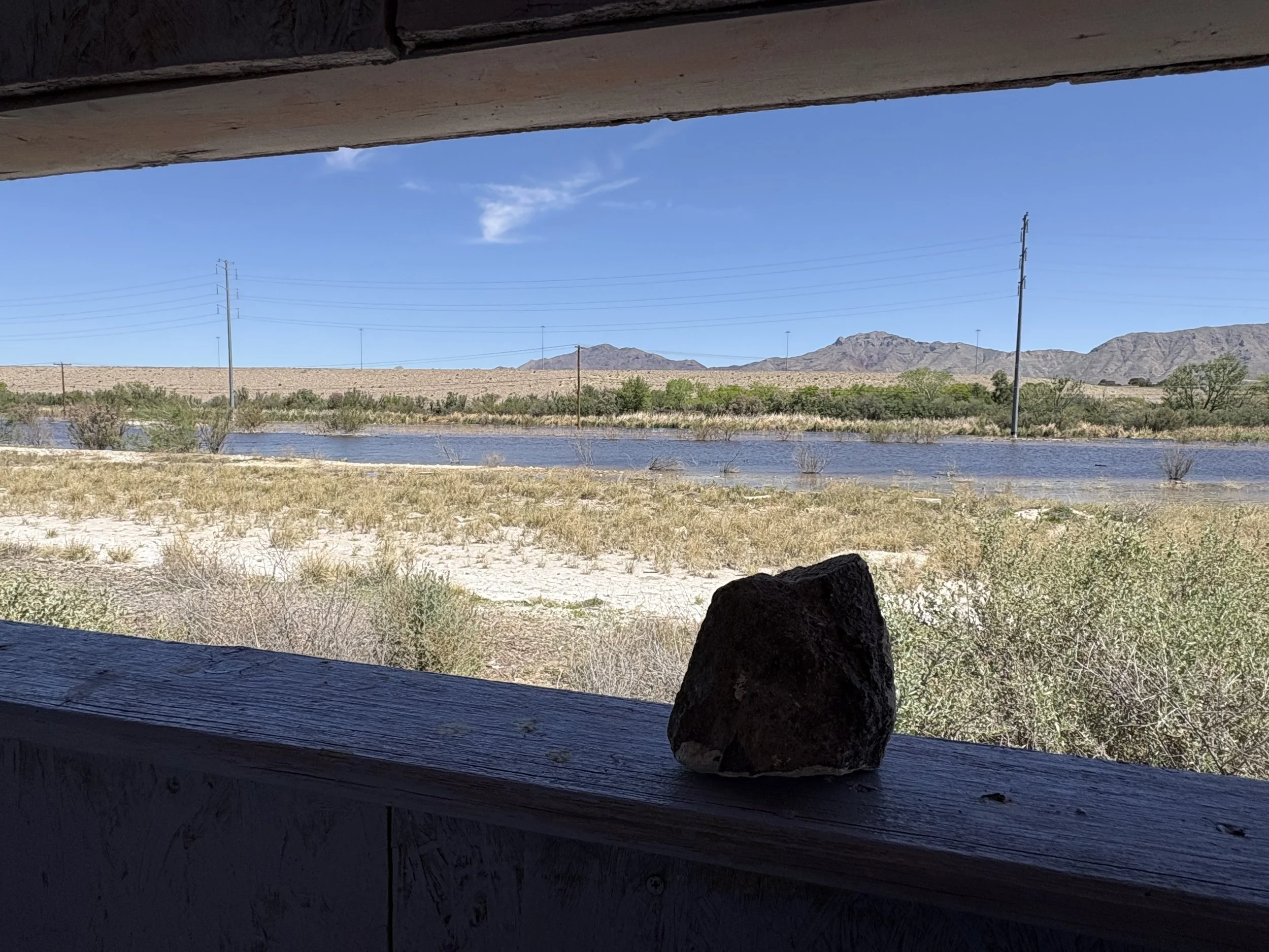 Lookout at Wetlands (April 2026)