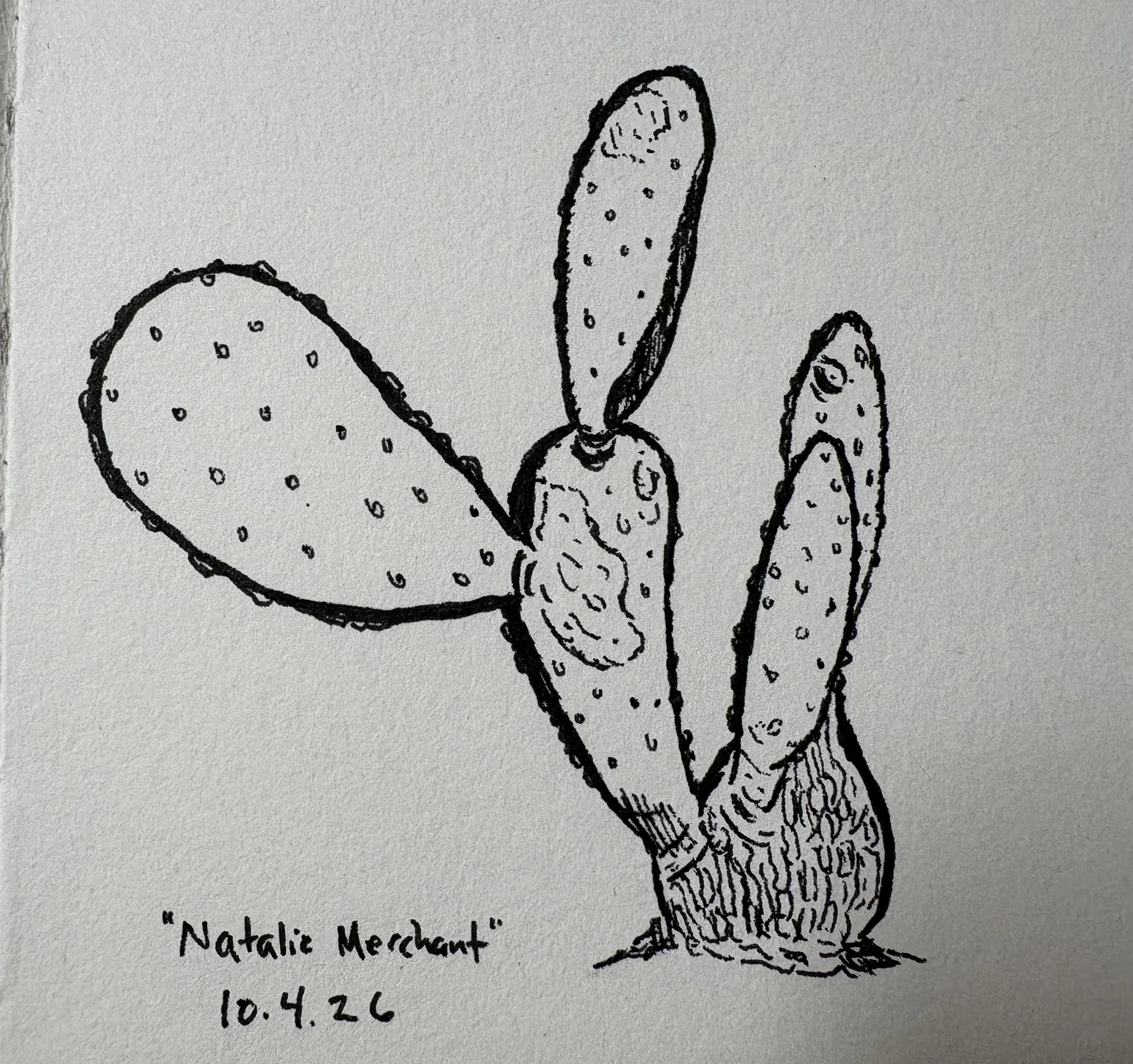 Quick late night cactus doodle (October 2026)