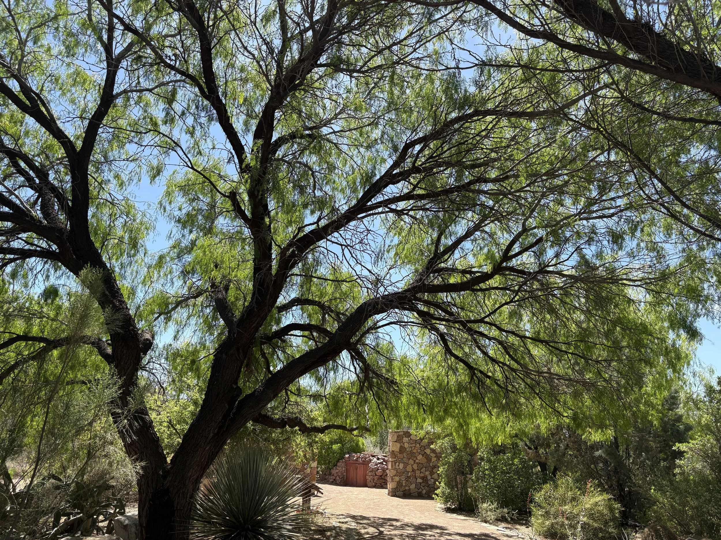 Keystone Heritage Park