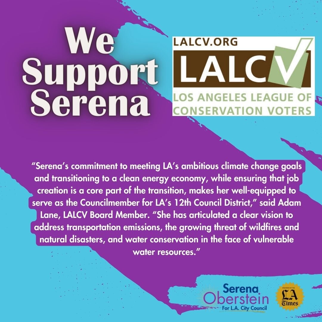 We simply cannot take chances with our environment here in #CD12. Issues like Aliso Canyon, Sunshine Canyon and other environmental disasters need to be addresses with urgency. Proud to have @lalcv  in our corner.