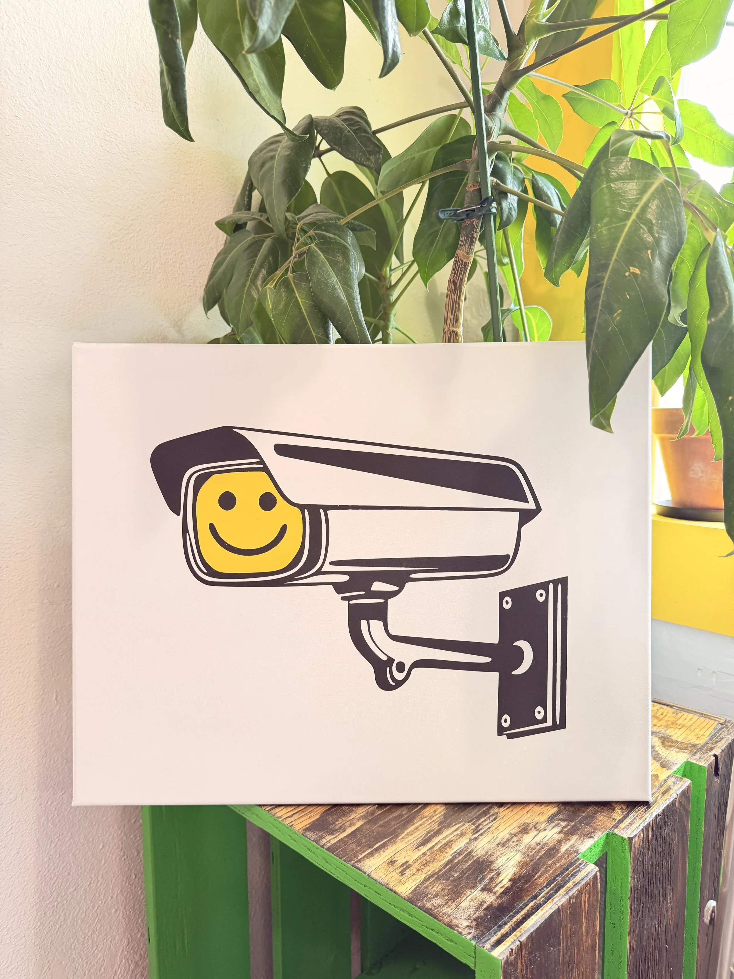 Nice to Surveil You