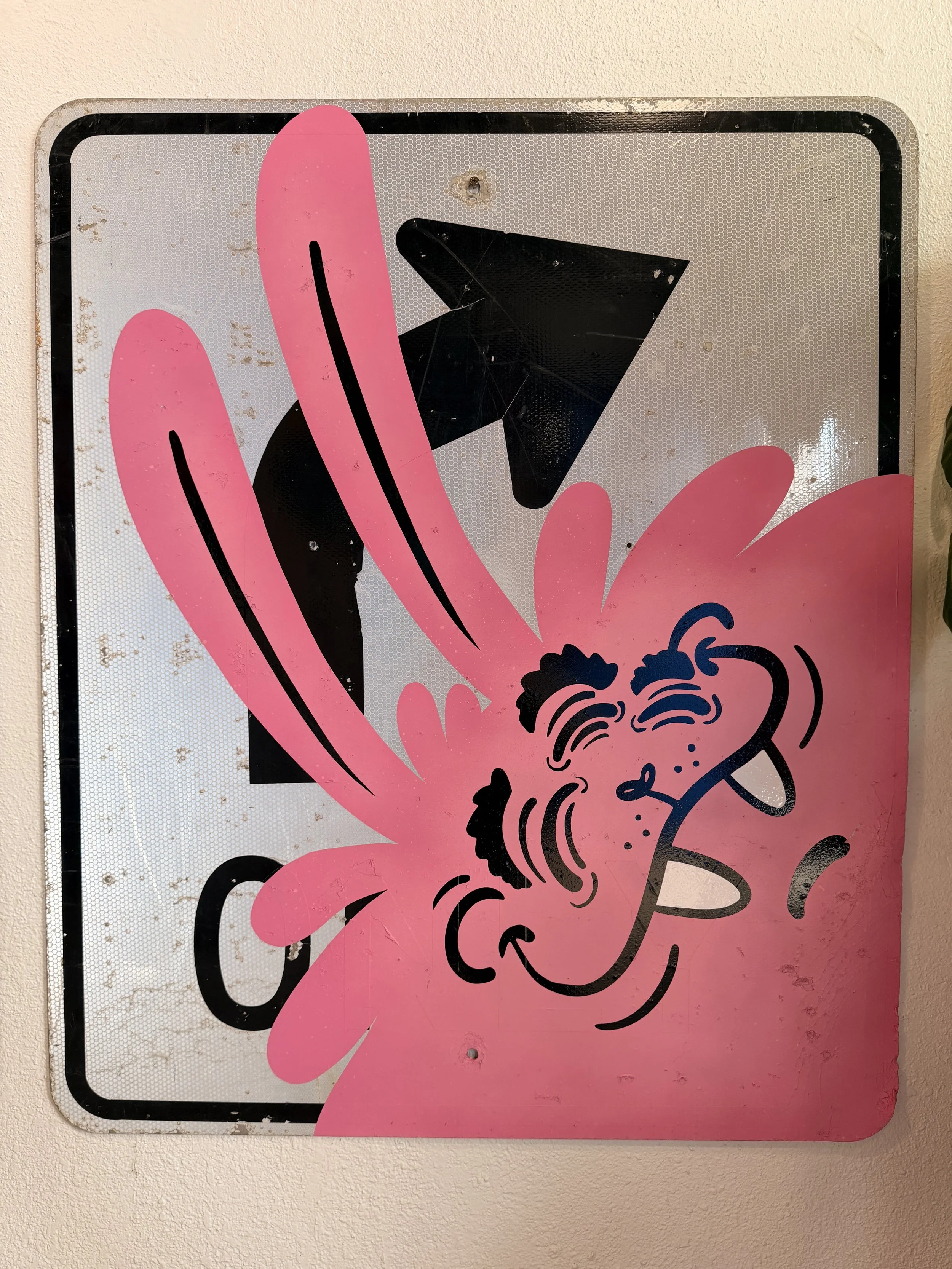 IMG_1507.jpeg