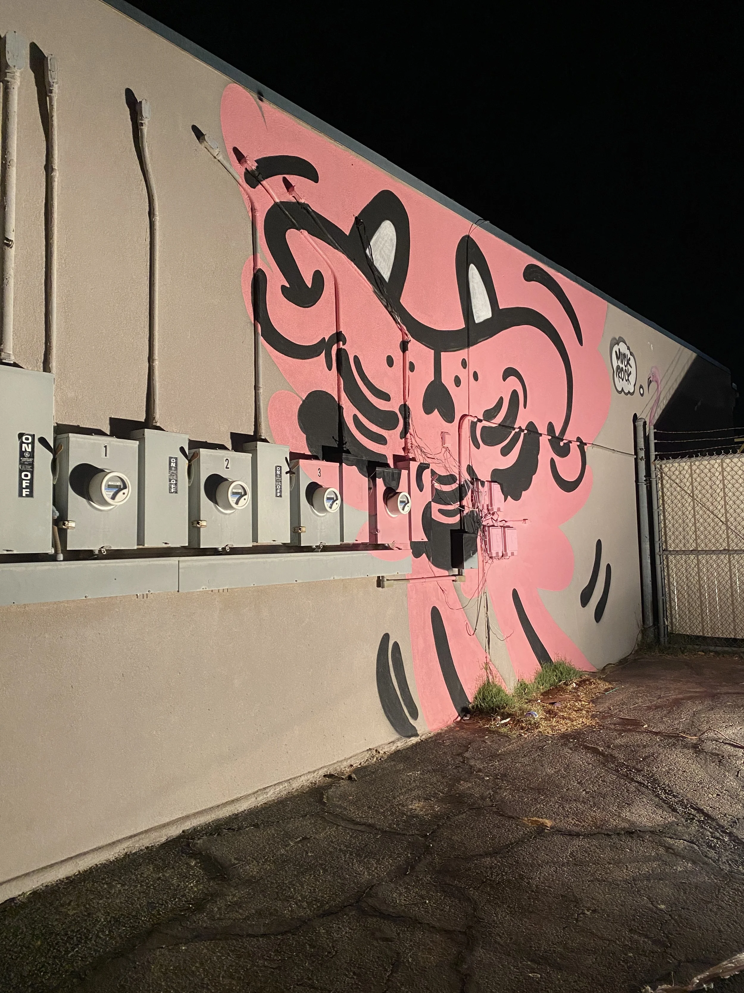 IMG_6859.jpeg