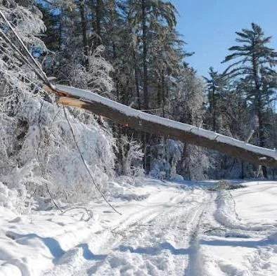 ⚠️ Service Update ⚠️

A fallen tree has caused power and internet outages in our area, but Nor&rsquo;East Equipment is up and running on generator power.

If you need immediate assistance, please use the numbers below in case certain lines are affect