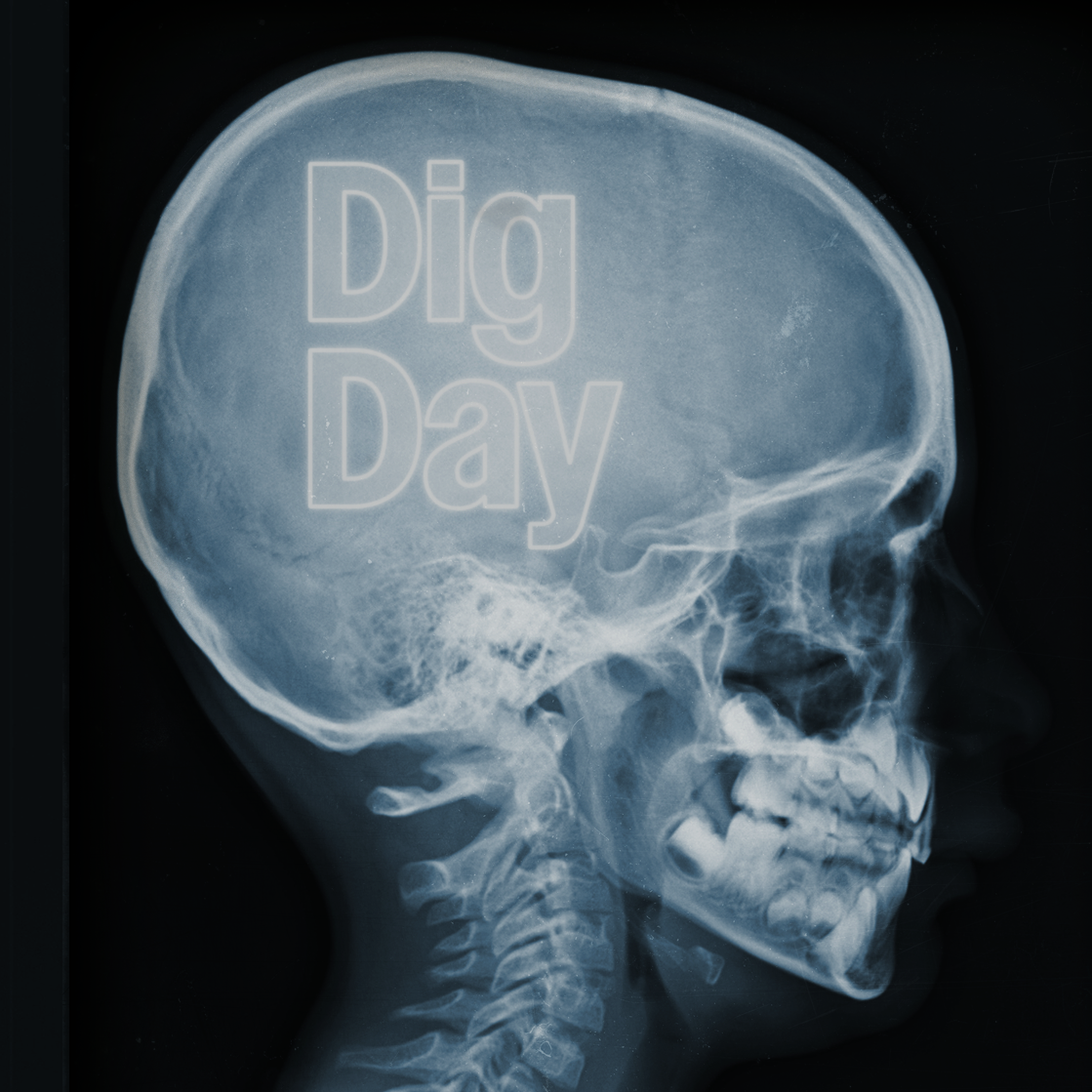 Dig Day