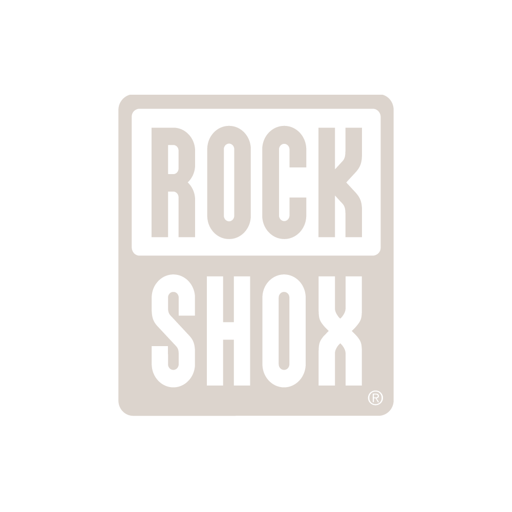 R_logo_White.png