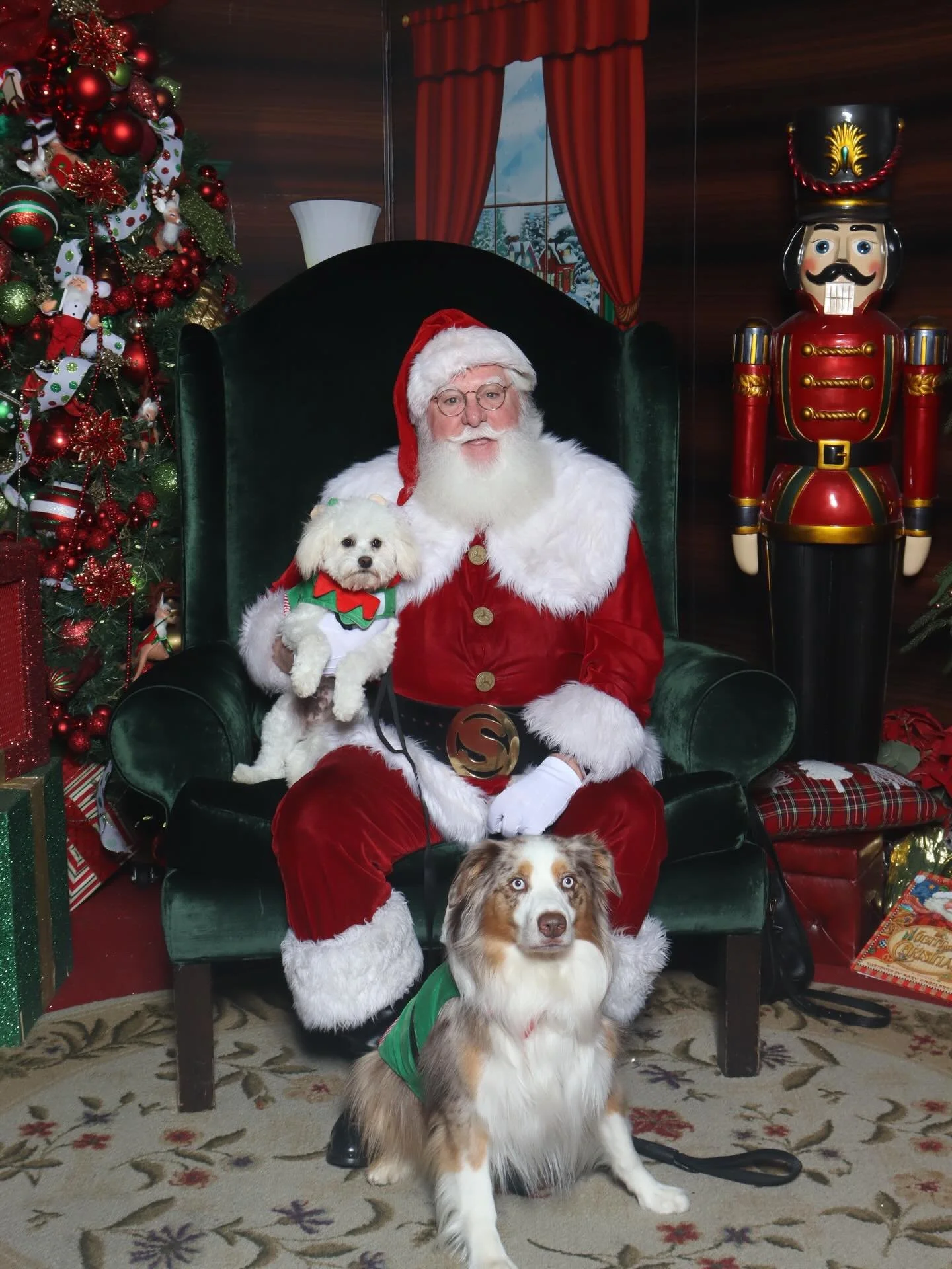 Happy Holidays from Maverick and Bodie, the stars of Davis Happy Paws! The @svtowncenter has a great Santa experience and offers pet days. Today was the last pet day but next year plan early! I did see Petsmart off Cochran will be having photos this 