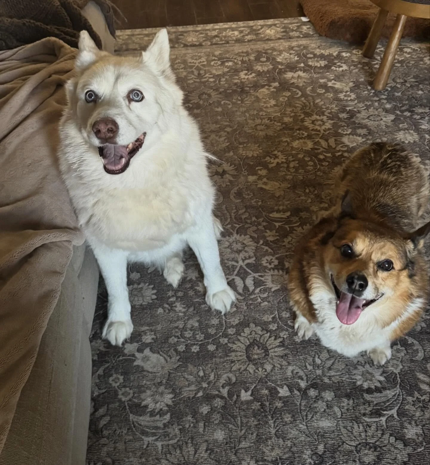 Home visits to Tuna, Jackson, and Stanley