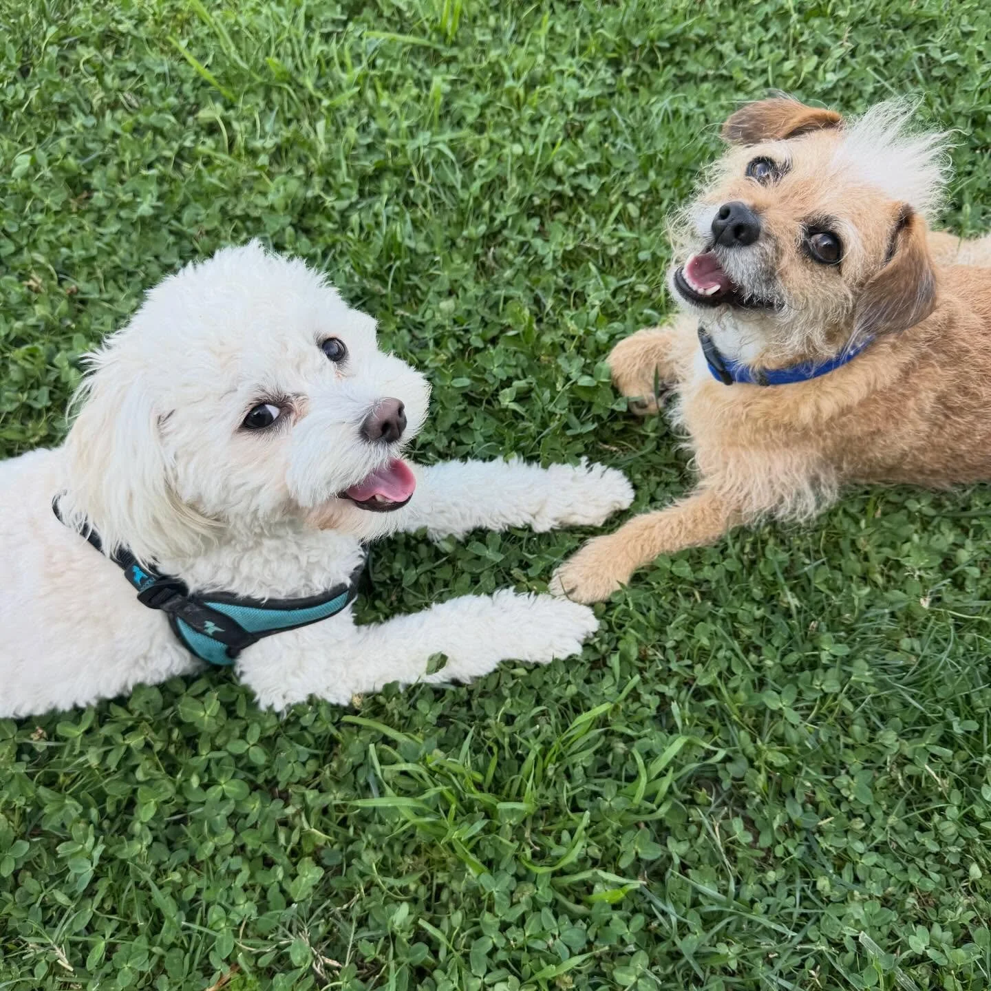 Just two best friends having the best Sunday together 😊