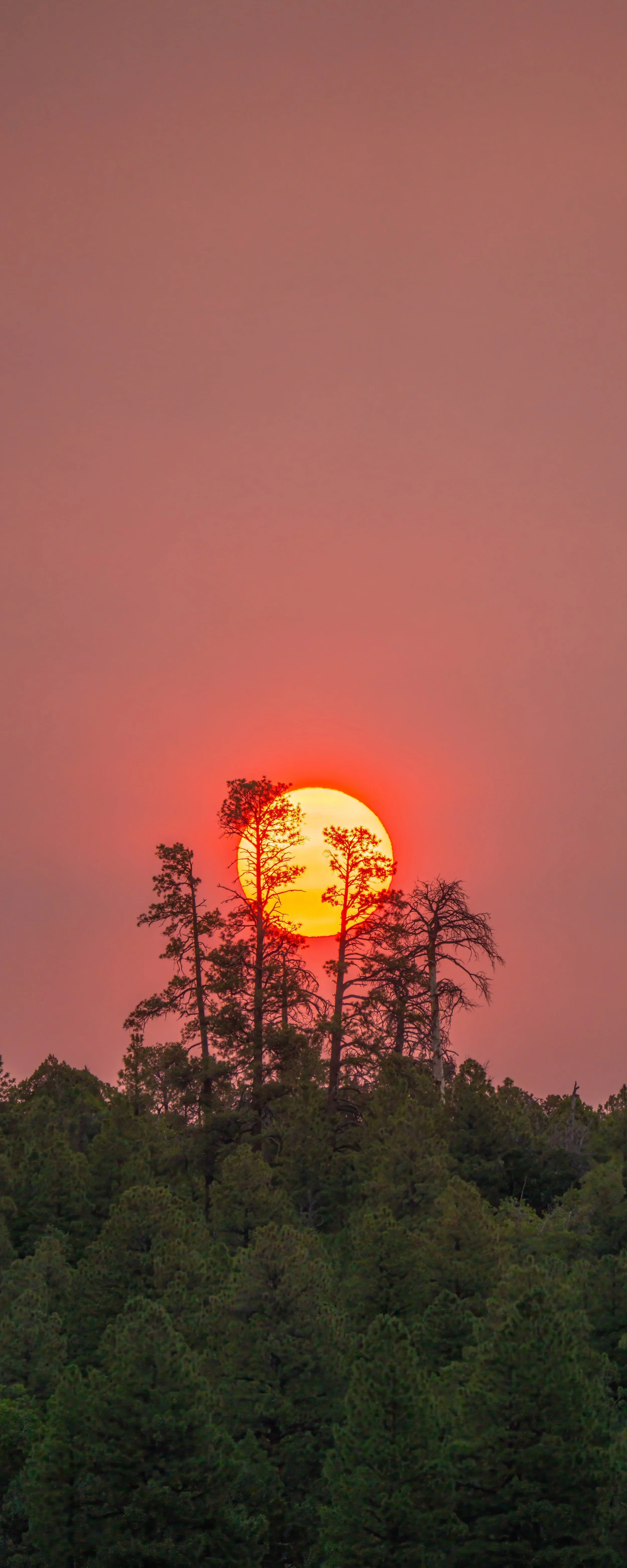  Smoky Marshall Lake Sunrise Vertorama 