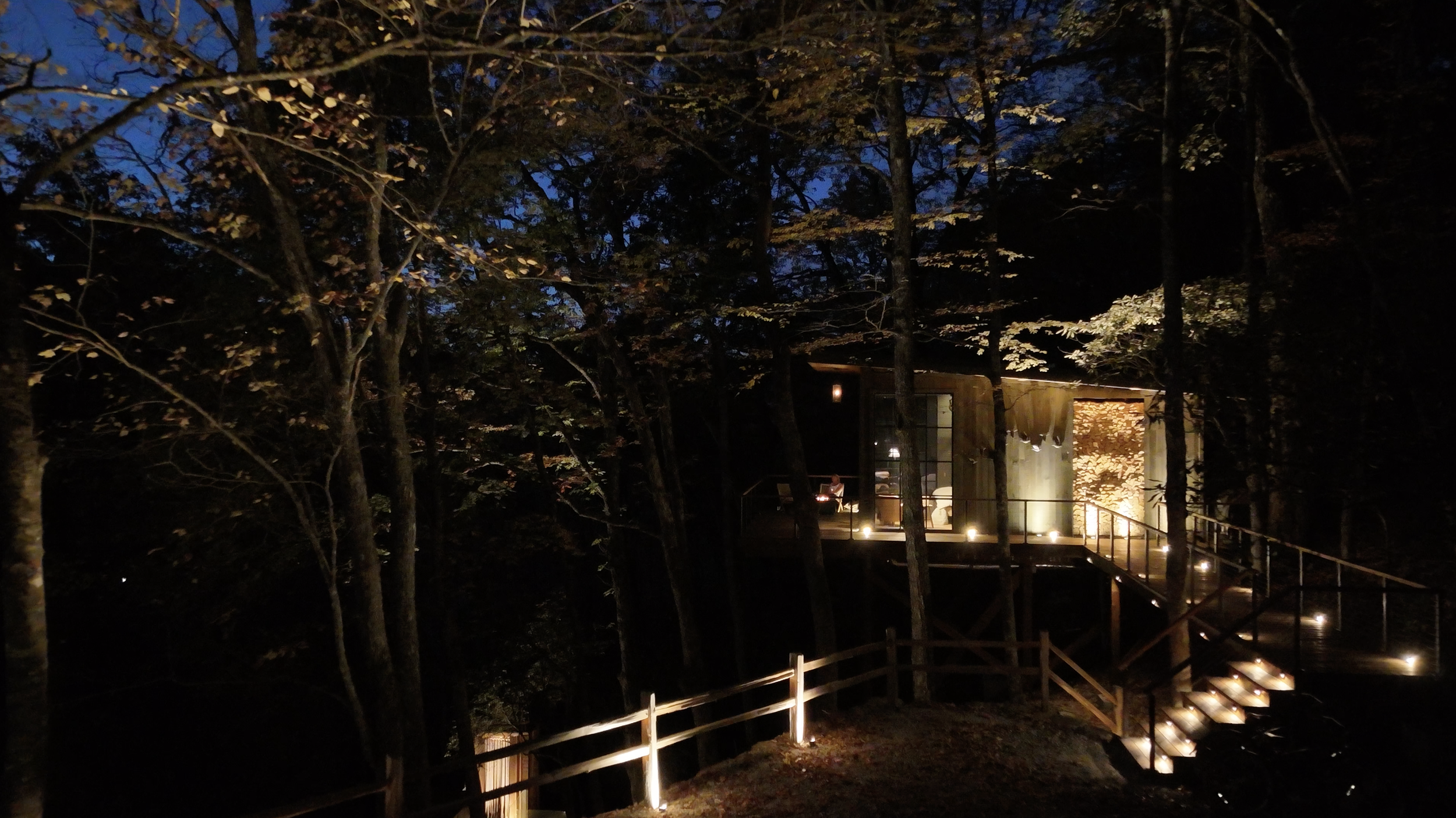 Birdnest- Static Image for Video Loop.png