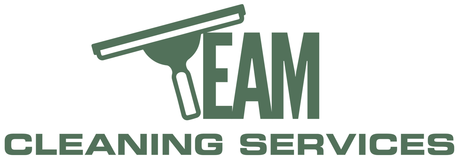 Team Cleaning Services