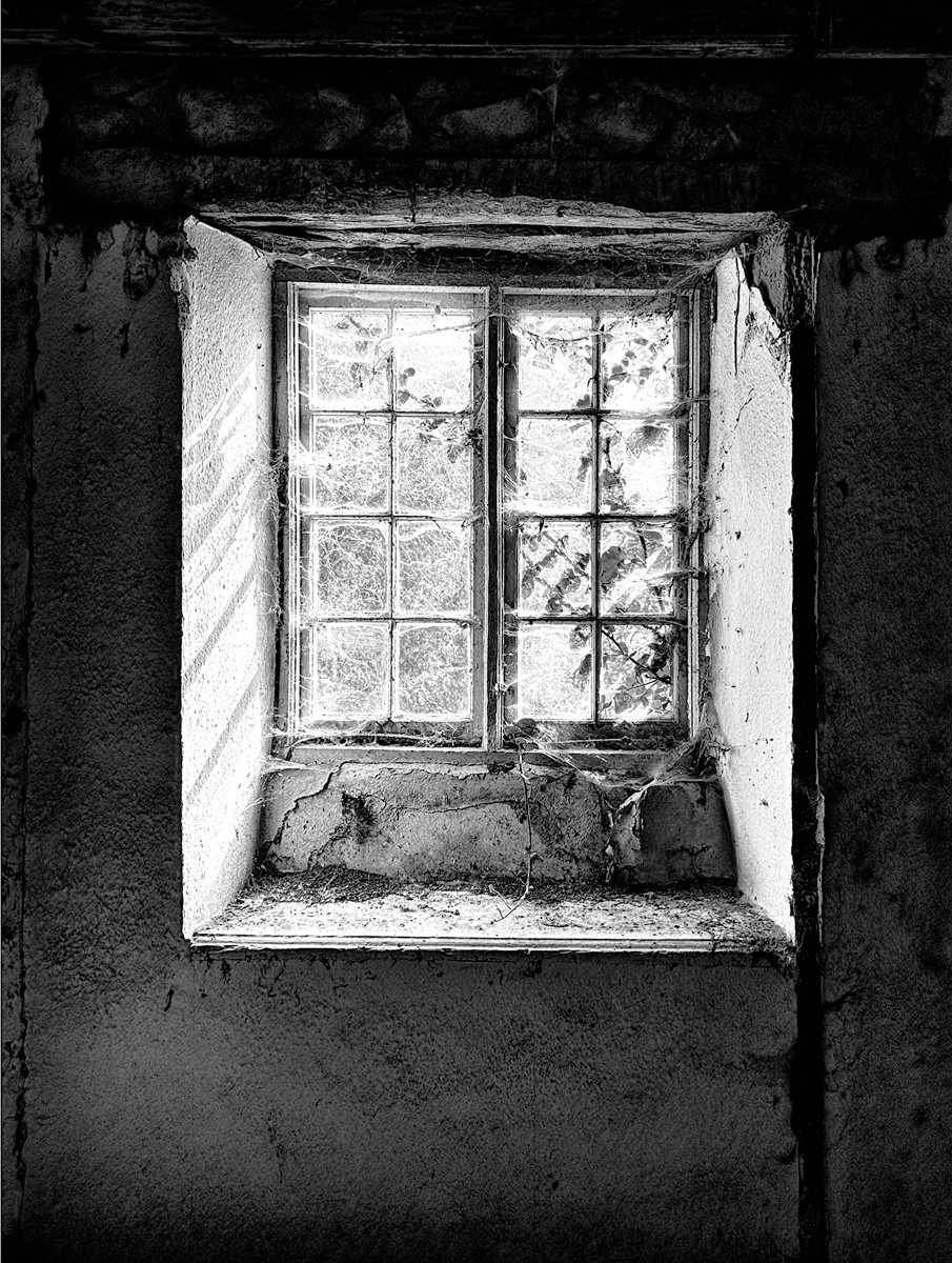 4th - Window Light © Jayne Priaulx LRPS