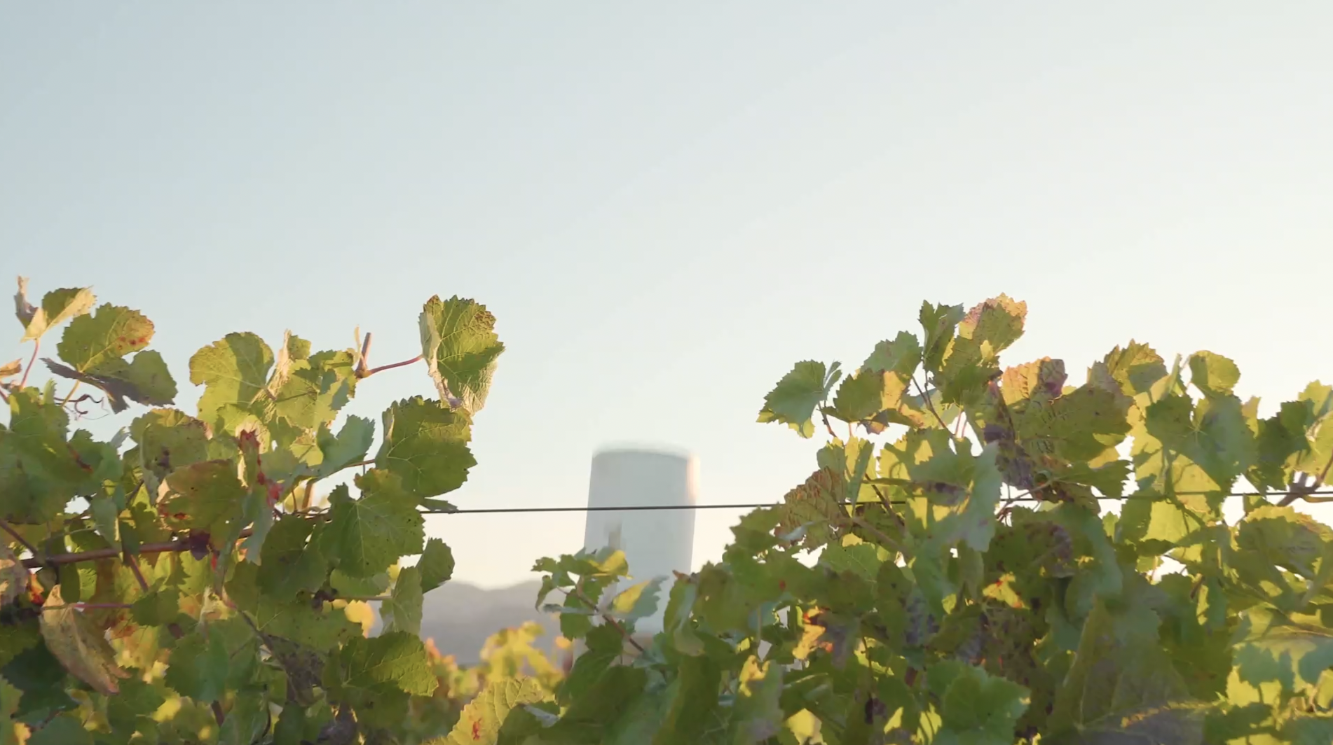 Screenshot 2023-11-06 at 11.45.29 AM.png