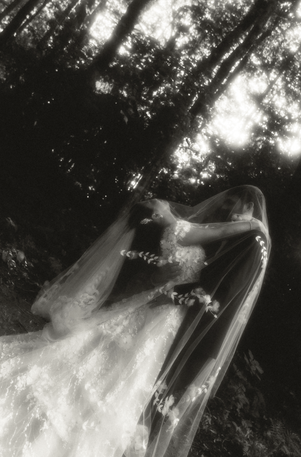 Screenshot 2026-02-03 at 5.47.10 PM.png