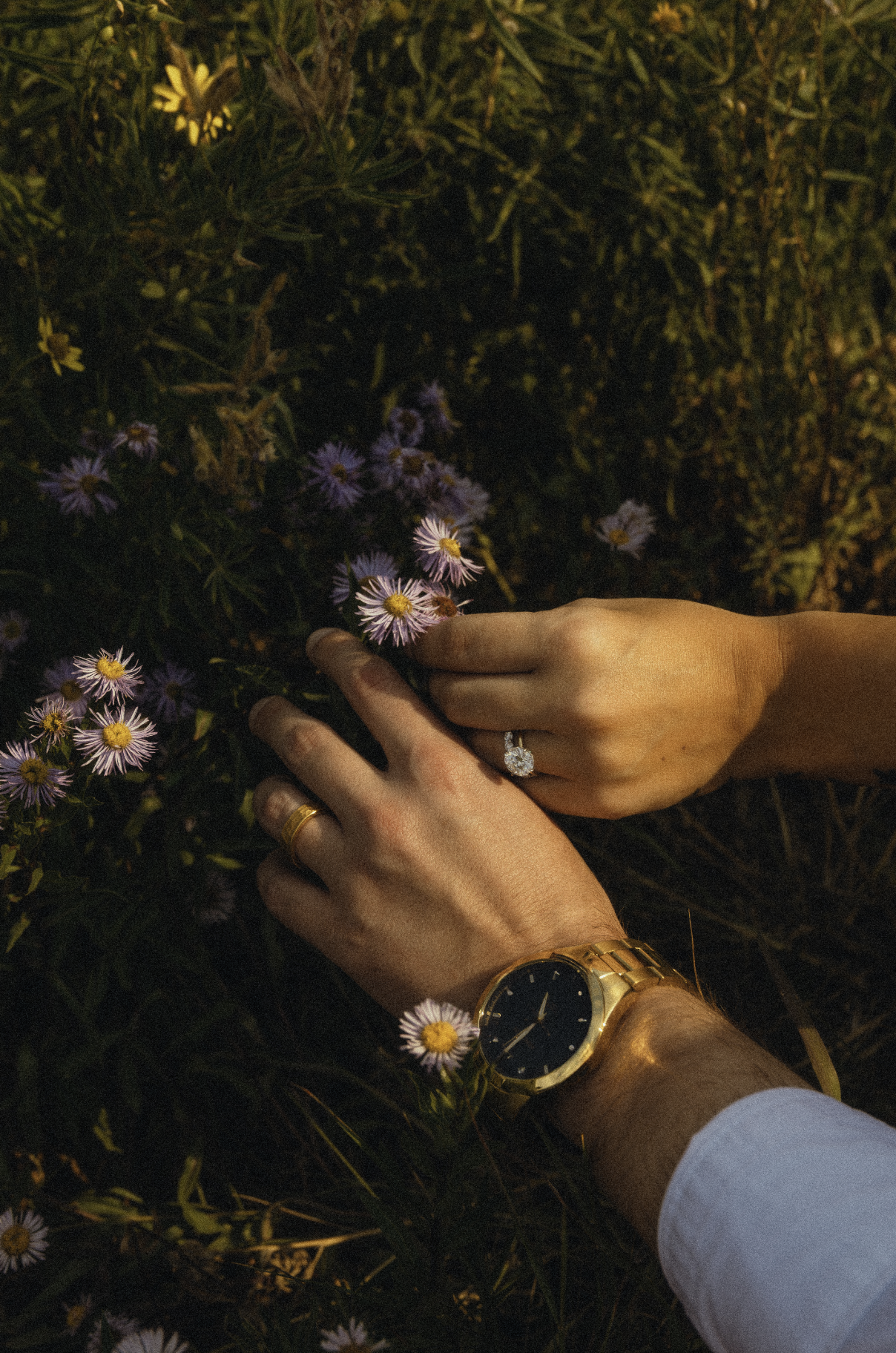 Screenshot 2026-02-04 at 6.44.15 PM.png