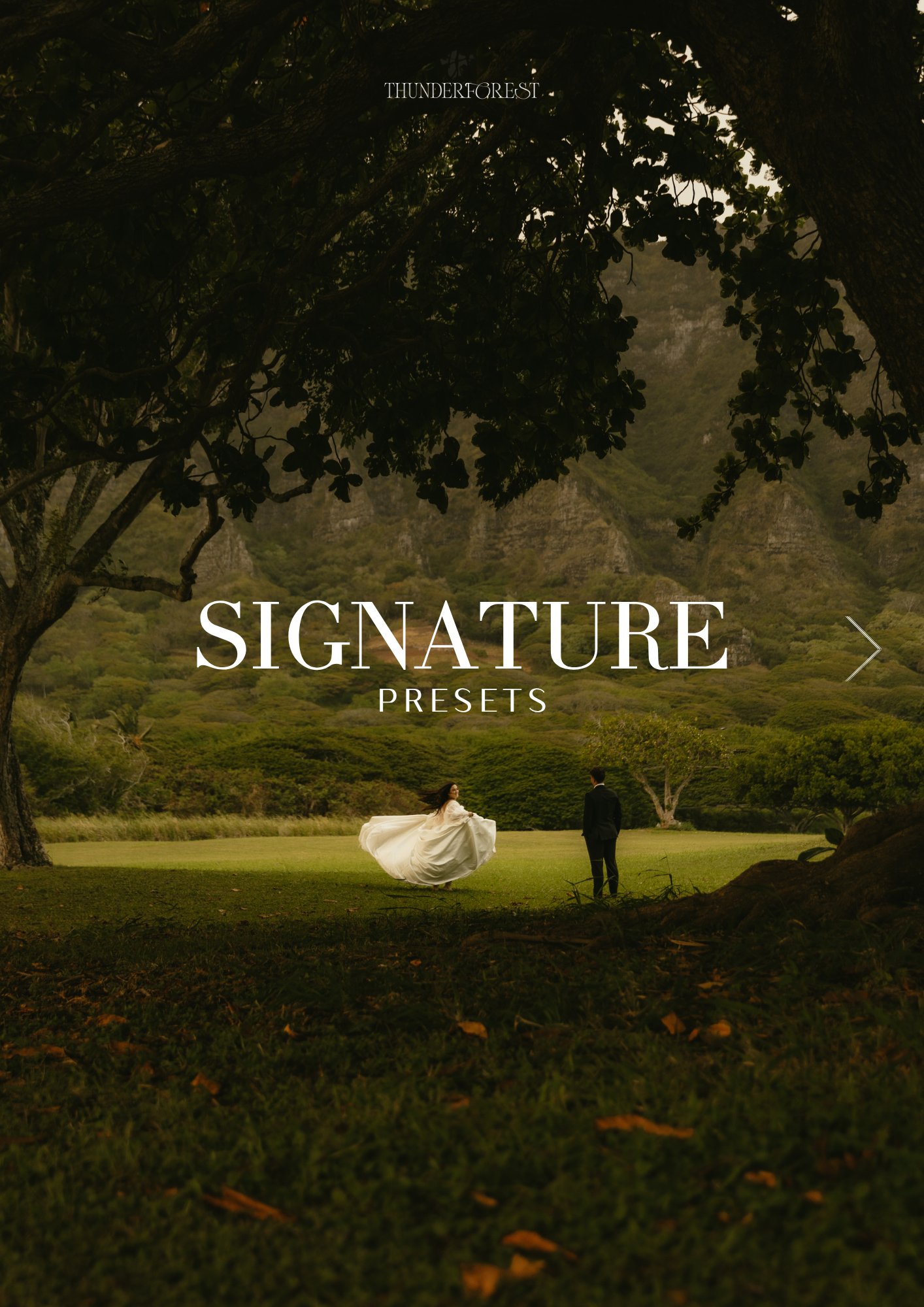 Thunderforest Signature Presets