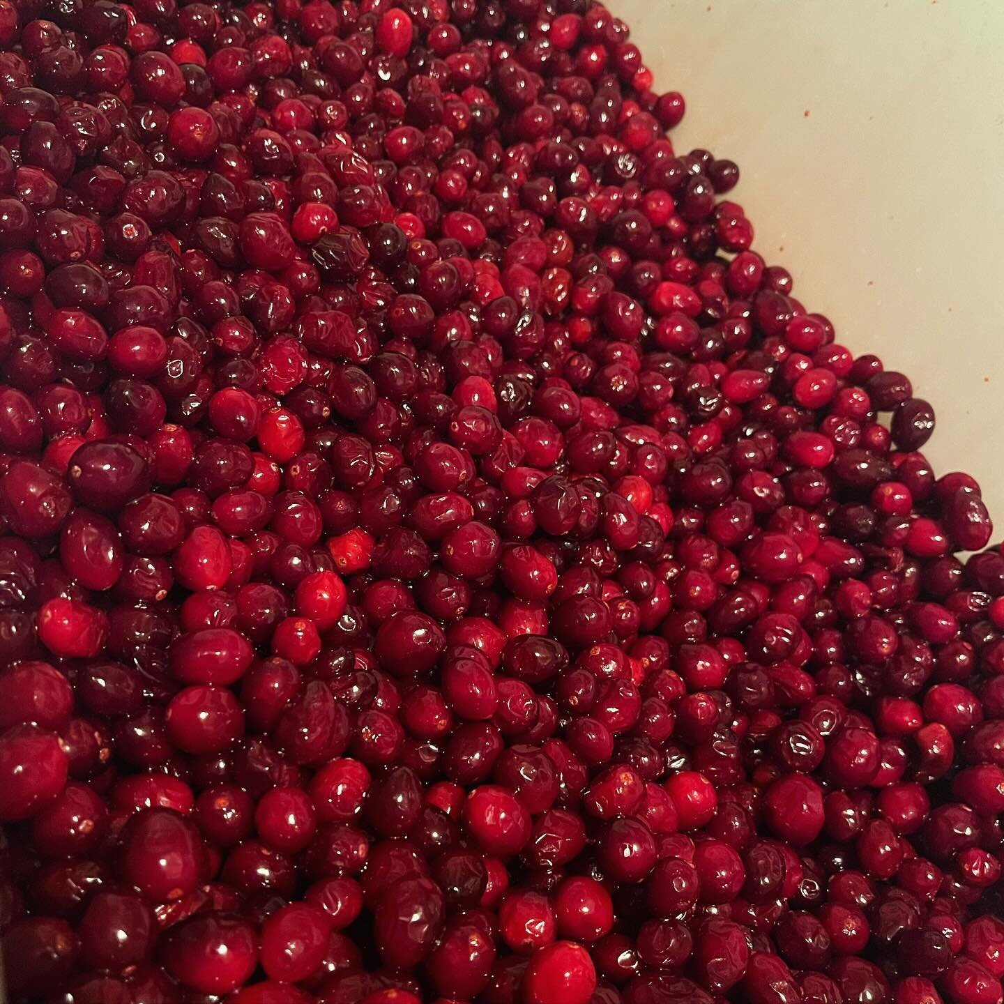 Picked up 100 pounds of Cranberries from The Bog Riverside Cranberry Farm #britishcolumbia the other day!  I was told by the farmer that they are one of the only cranberry farms that does not sell direct to Ocean Spray.  I think that is amazing and I