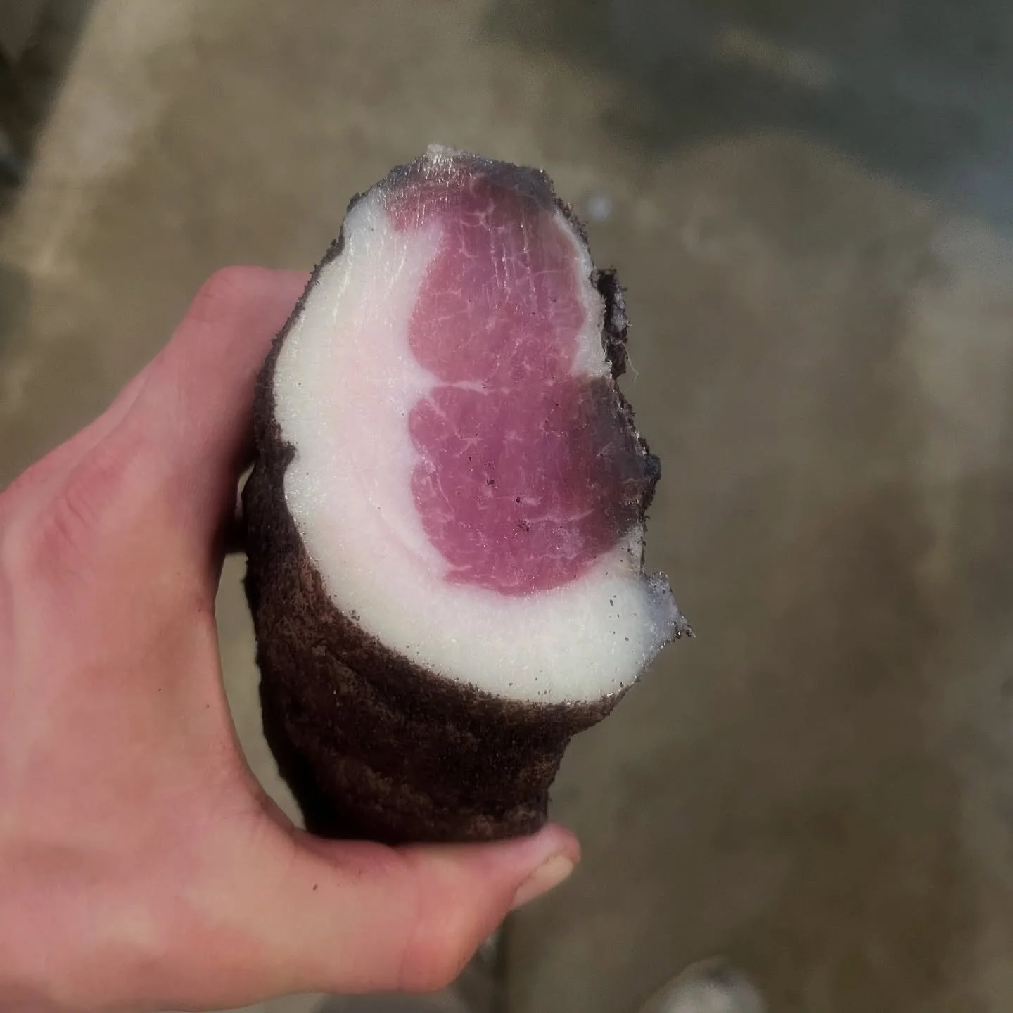 @martinslanewinery Pinot Noir Grape Must crusted Lomo hit the case @carnistkelowna today.  Very stoked on this one.  Better get down to the shop soon.  There is not very much of this beauty 🤘🏼
.
#fermentation #meat #dry #cure #lomo #charcuterie #su