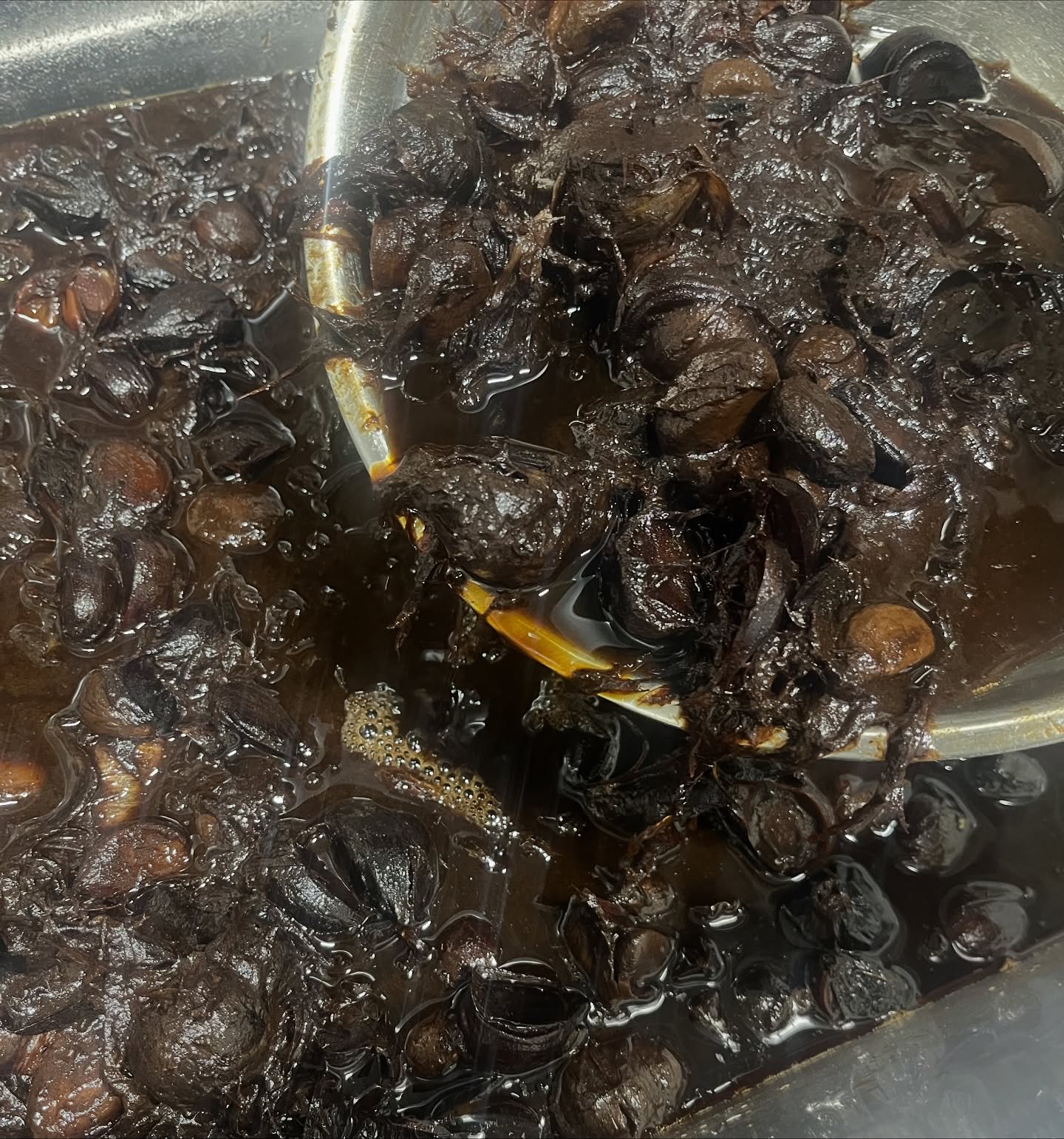 2025 Fermented Black Garlic Puree is ready, folks! 🔥
This has been an absolute labor of love. Over the 8 weeks at 60&deg;C, I achieved great blackening on the husks of the garlic, so I didn&rsquo;t want it to go to waste. I blended everything togeth