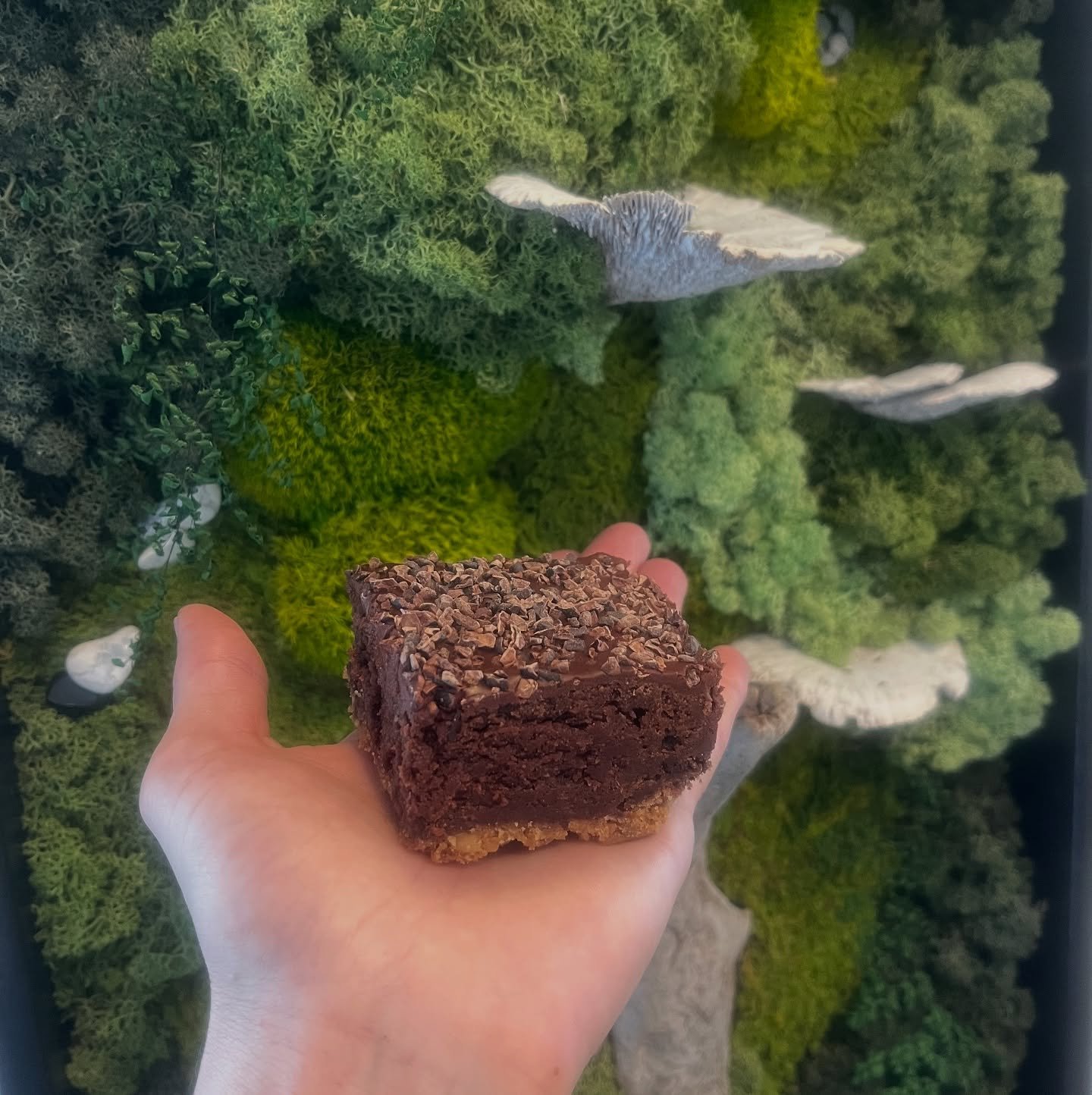First attempt at my &ldquo;Beef Tallow Brownie Bar&rdquo; 🍫
.
Toasted Macadamia Nut Crust,
@valrhona 70% Chocolate Brownie,
Maple Whisky Ganache,
Cocoa Nibs
.
All butter was replaced with @carnistkelowna grass fed, grass finished, Beef Tallow.  It c