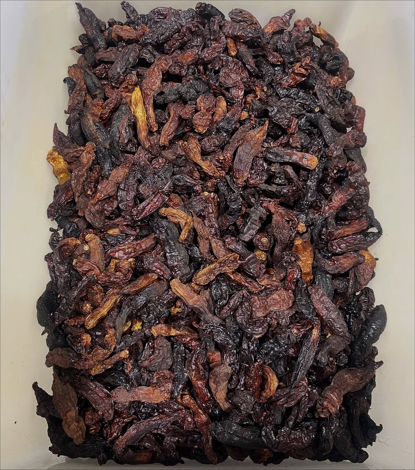 Smoked Sugar Rush Peach Pepper Powder 🔥 
I smoke the peppers for three days with Cherry Wood until they are charred and dry 💨. These smell delightful.  This powerhouse ingredient is for my Smoked Sugar Rush Peach Pepper Sauce.  Come and get it 🤘🏼