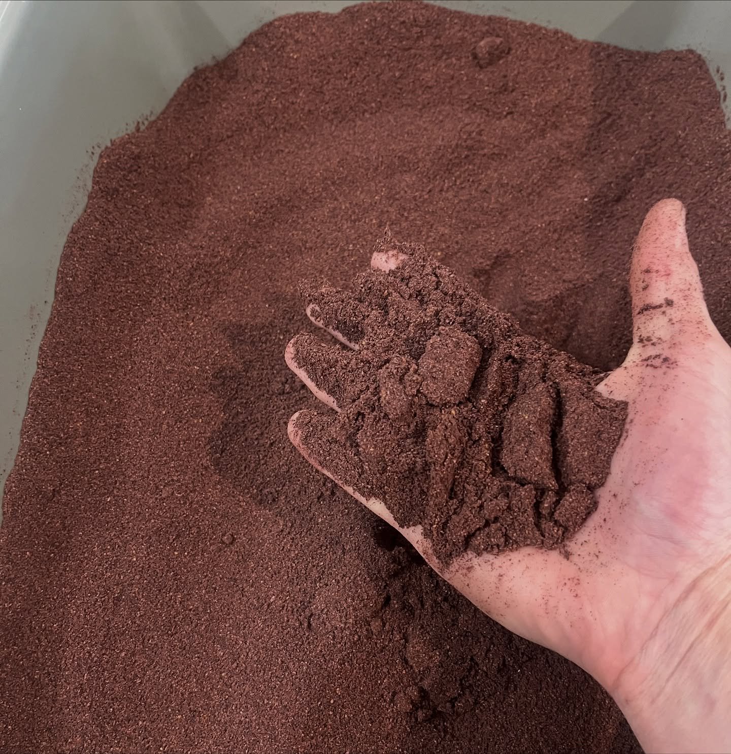 @martinslanewinery Pinot Noir Grape Must is dehydrated, powdered and ready to become some very delicious charcuterie @carnistkelowna .  The smell of this must is so beautiful.  It was obviously a delicious year this year for grapes 🍇 .  Excited to t