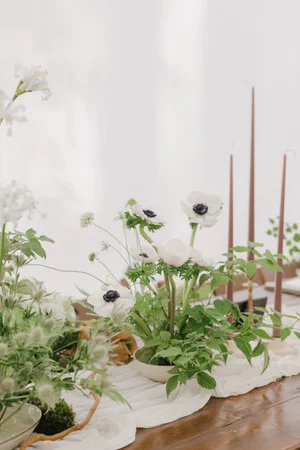 Haley Drew Luxury Wedding Planning and Design