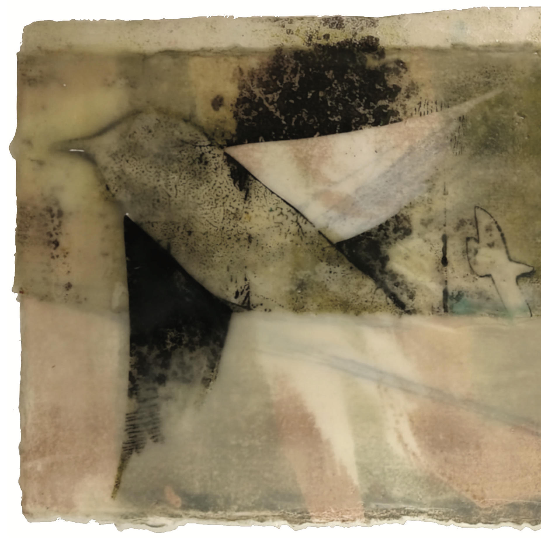 Fields &amp; Flight with Artist Karena Ness