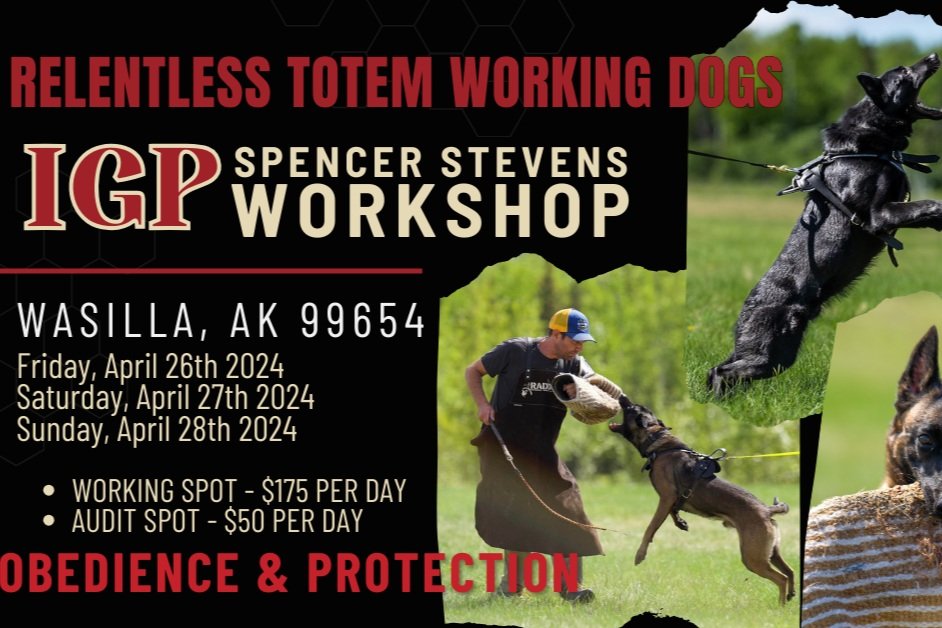 IGP WORKSHOP W/ SPENCER STEVENS