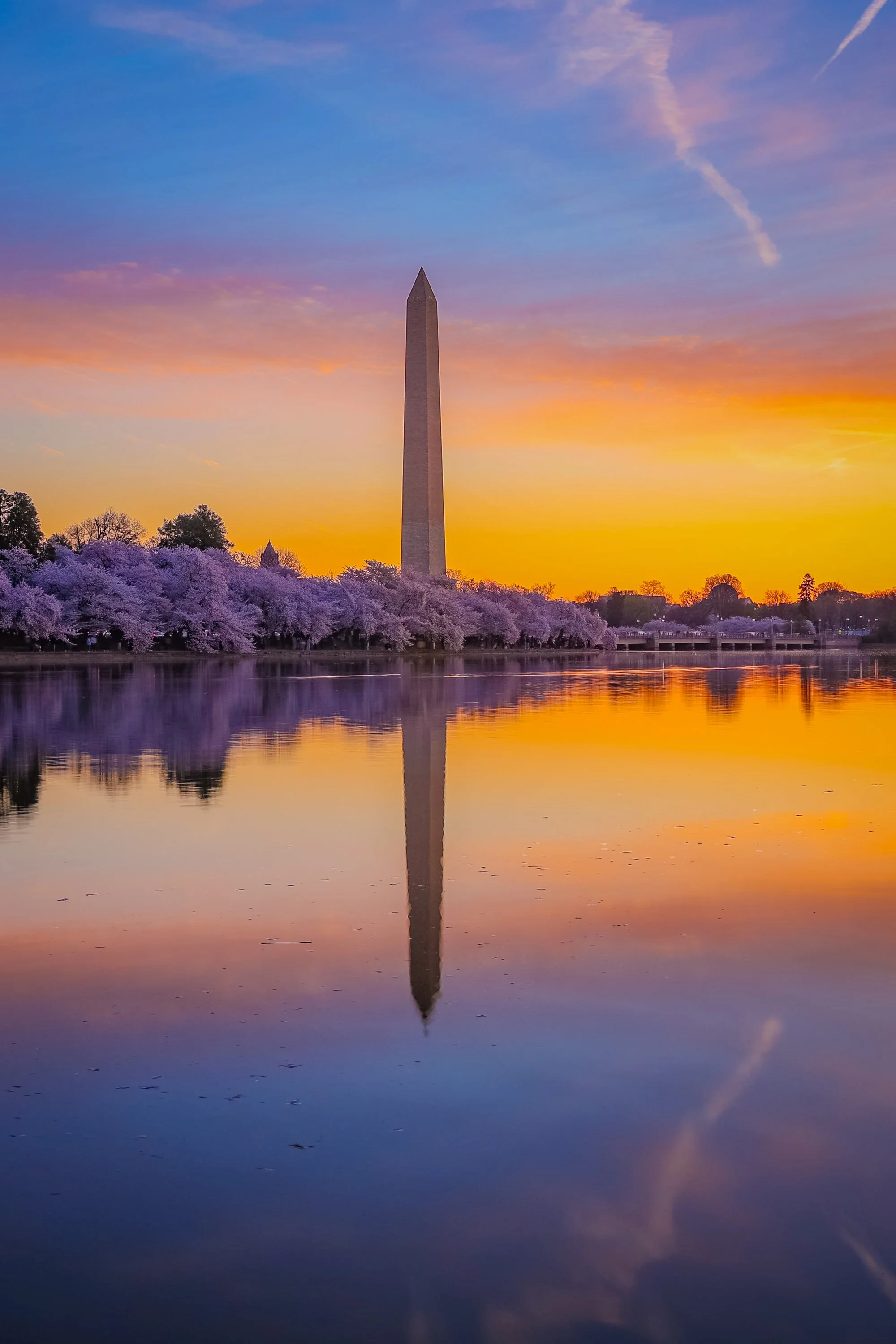 Light of the National Mall