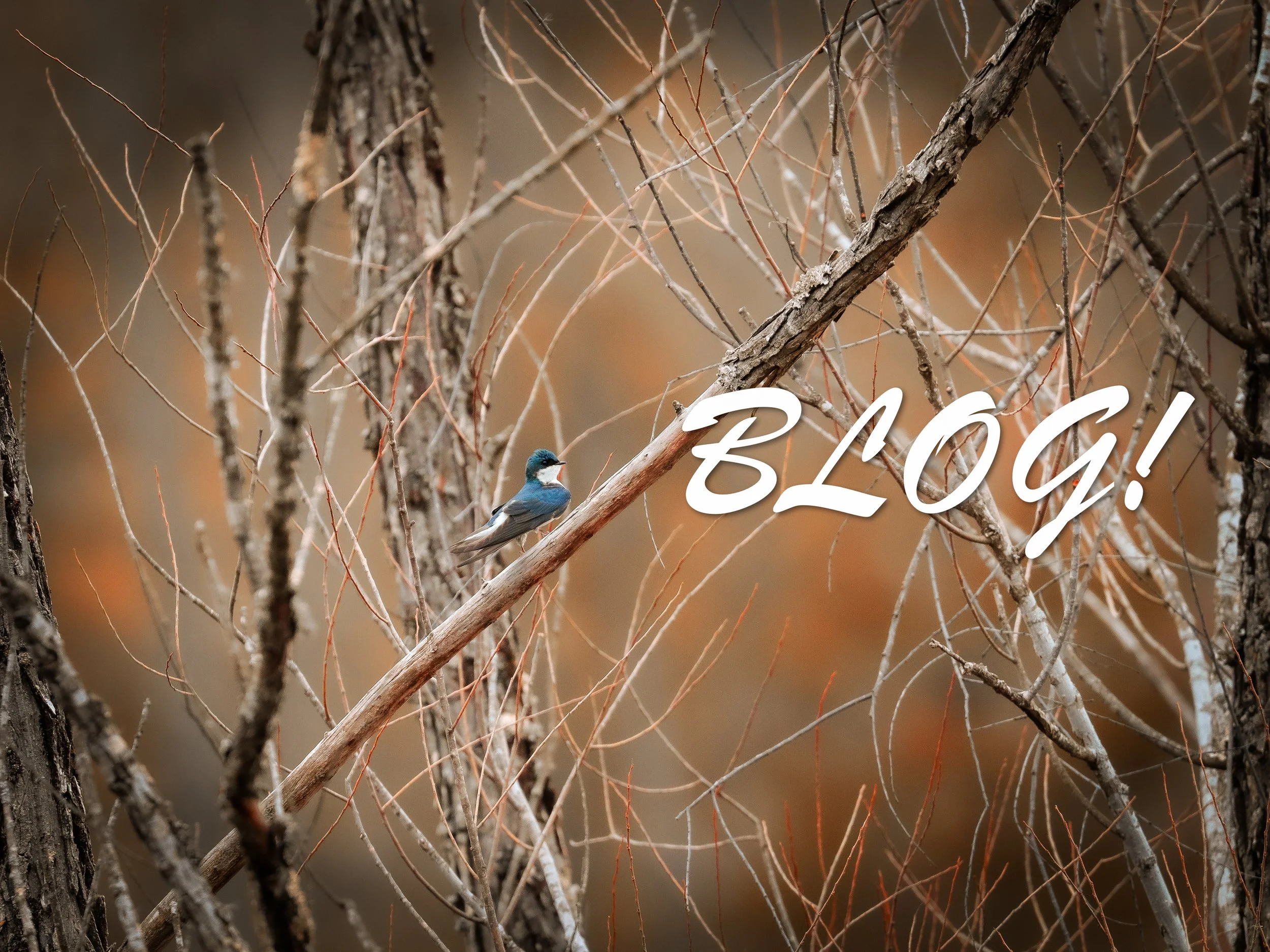 Hiking and Photography: My creative Outlets!