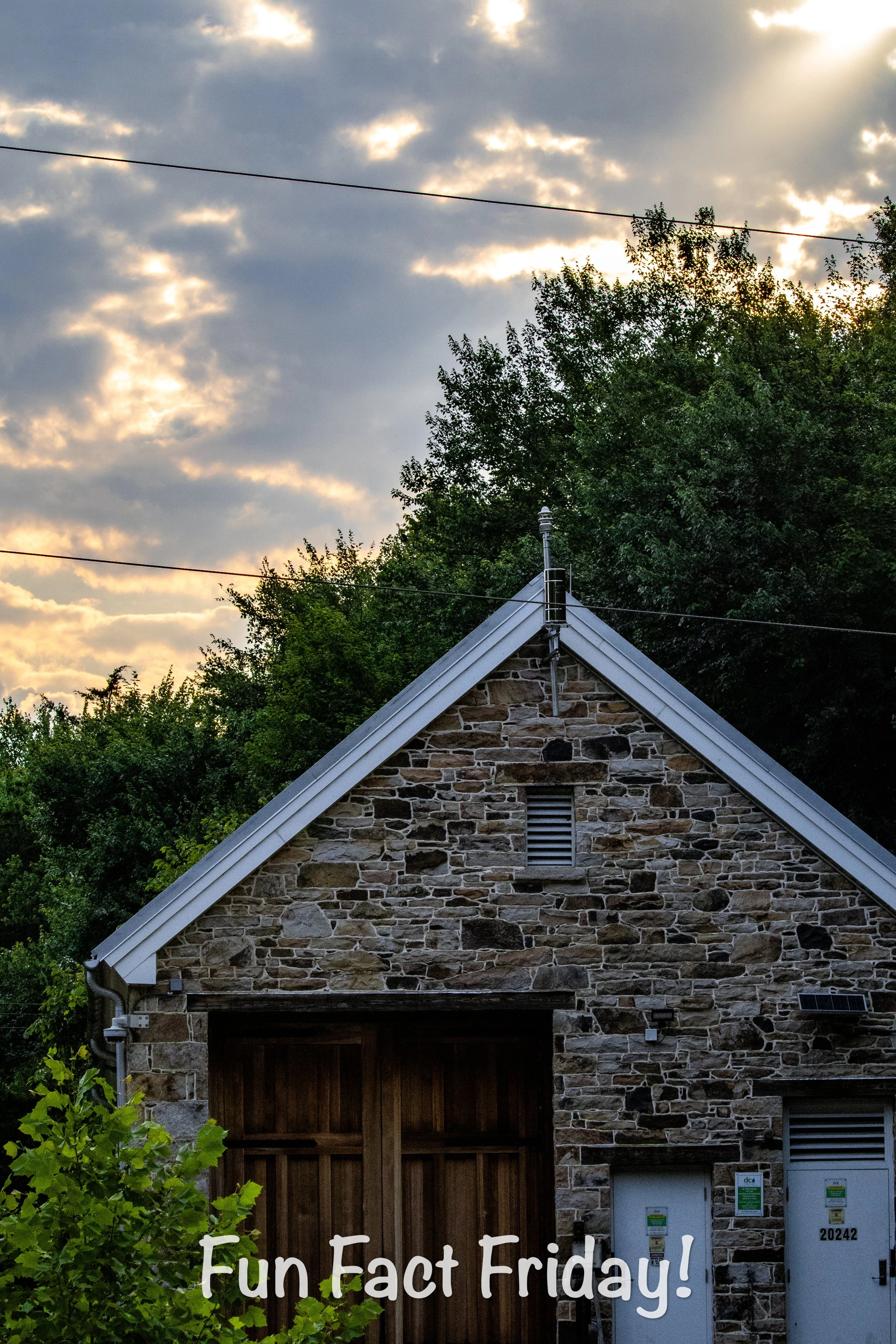 Canon EF 100-400mm Lens Review: A Versatile Powerhouse for Wildlife and Sports Photography