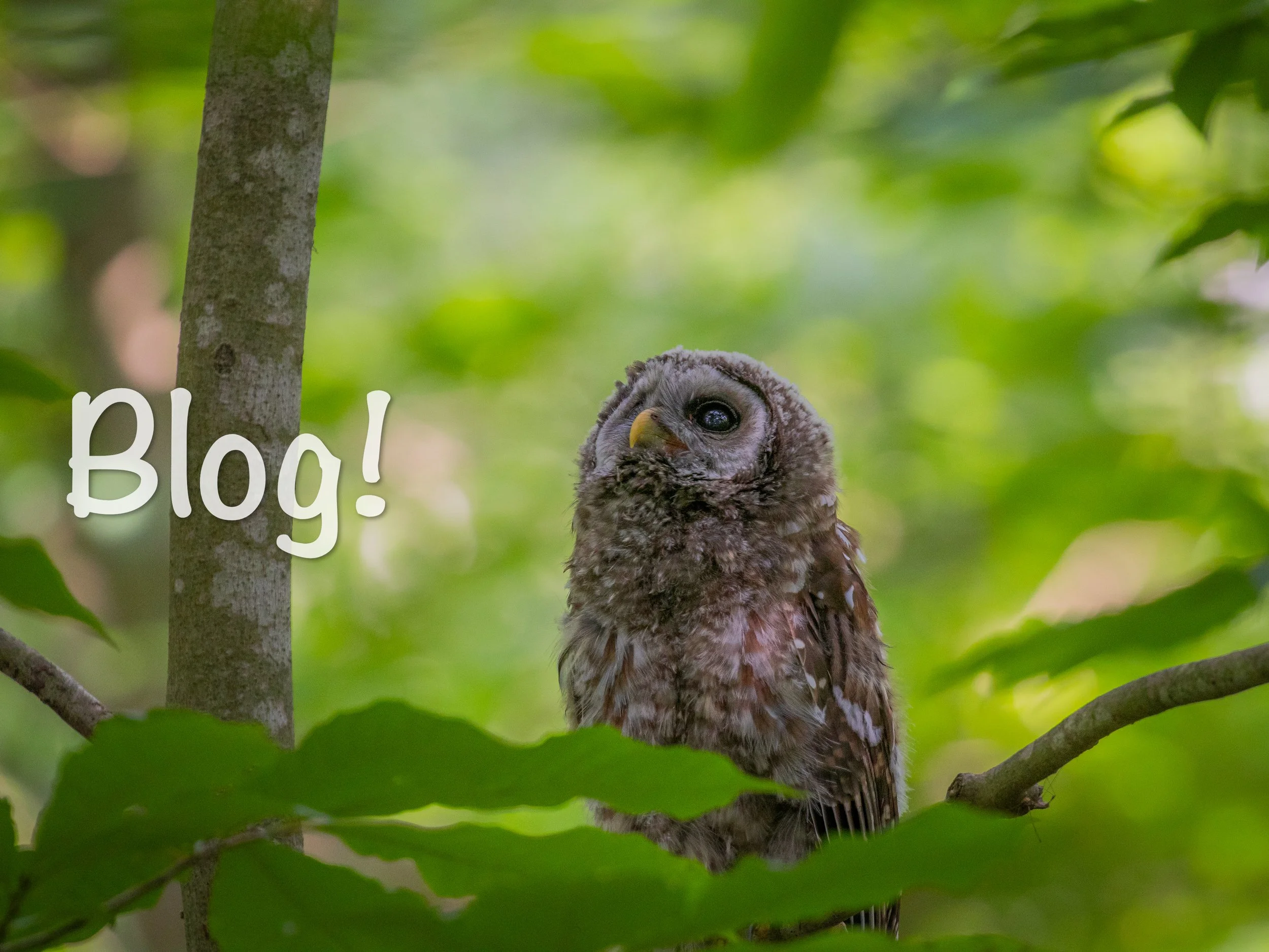 The Perfect Shot: A Father-Son Adventure