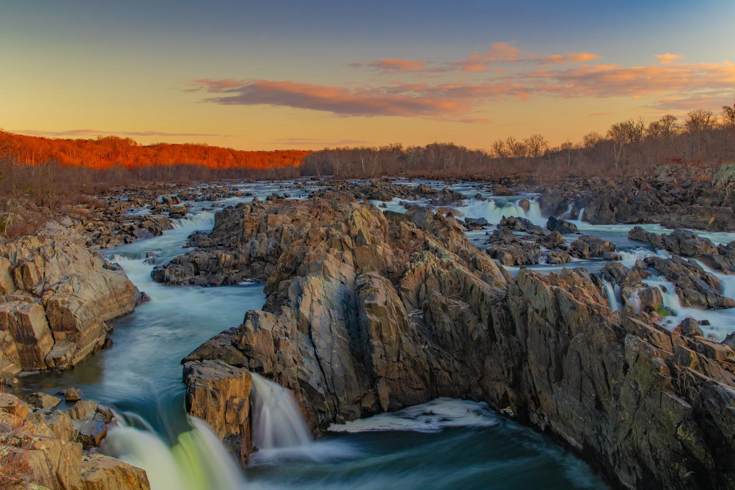 Year in Review: The Highs, Lows, and What’s Next