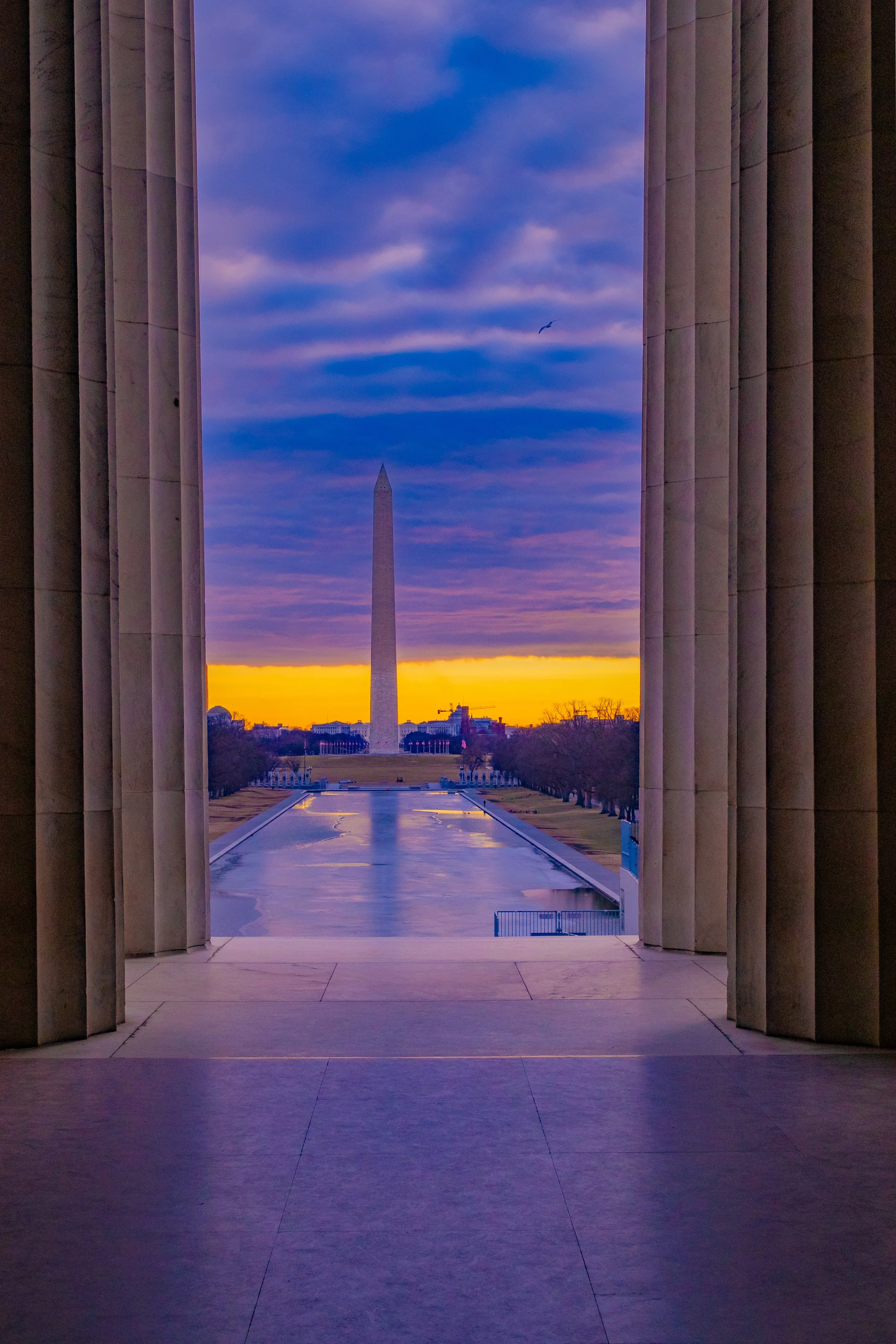 the national mall.jpg
