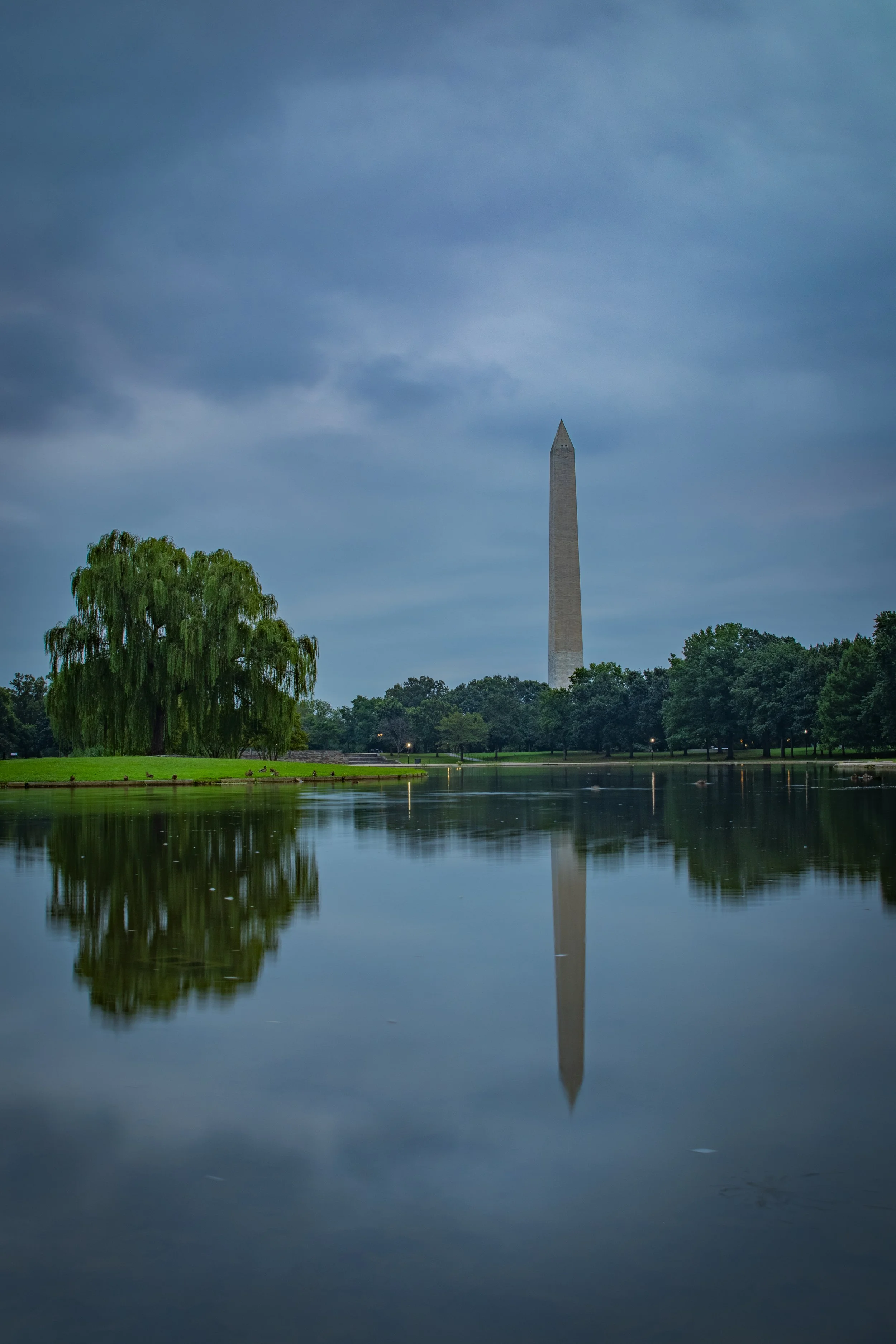 just a reflection.jpg