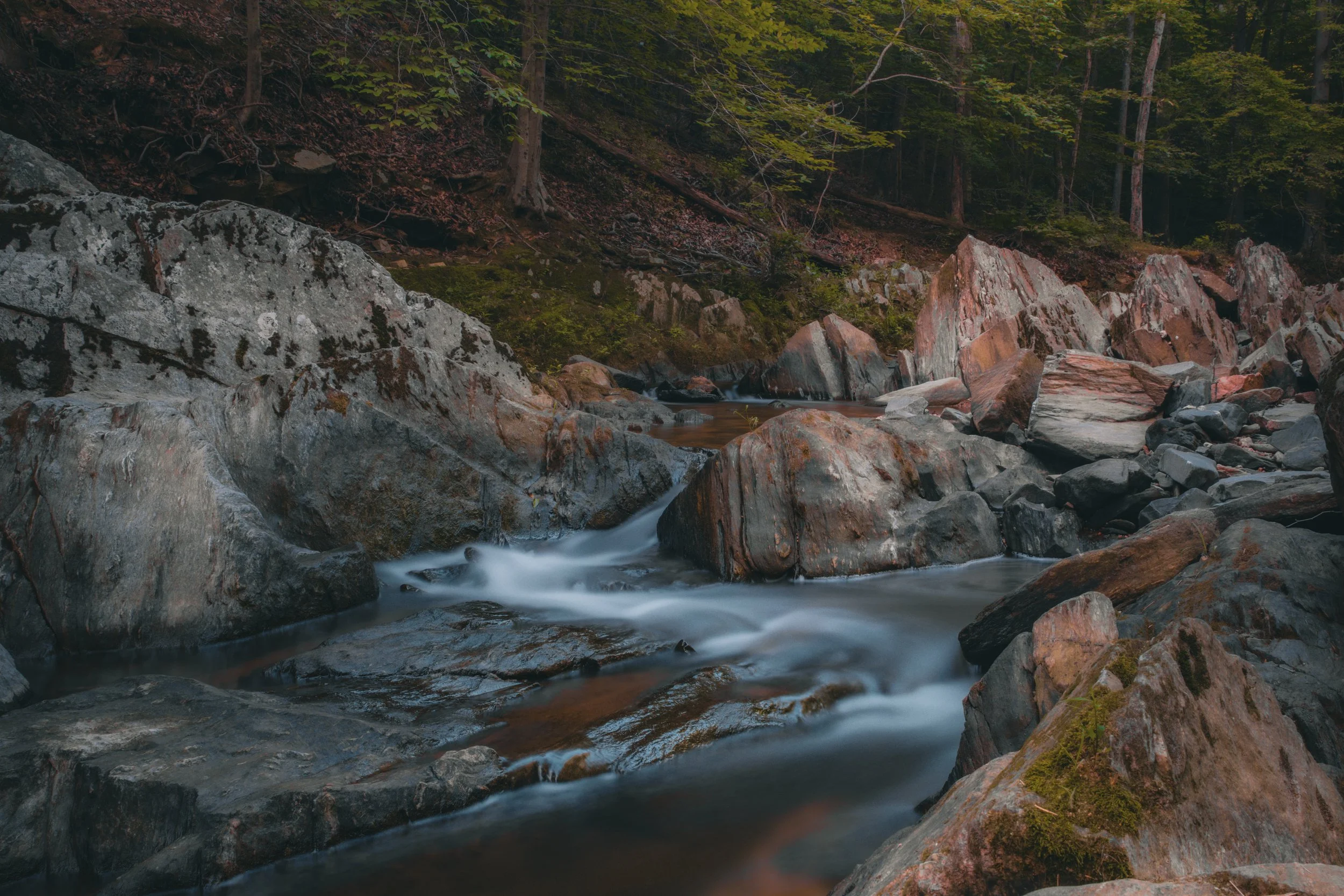 Waterr Scotts Run 3.jpg