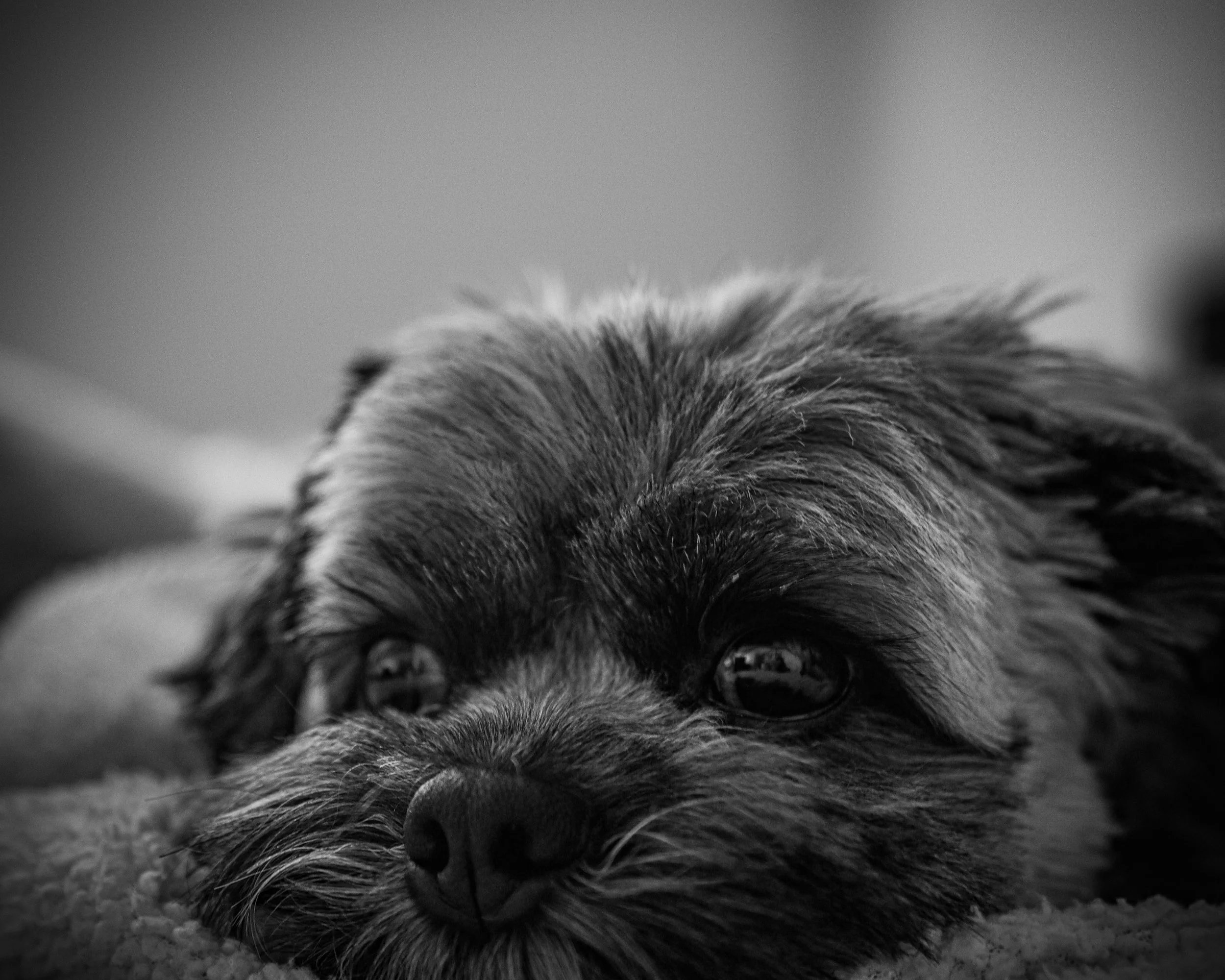 ah finally relaxation time.jpg