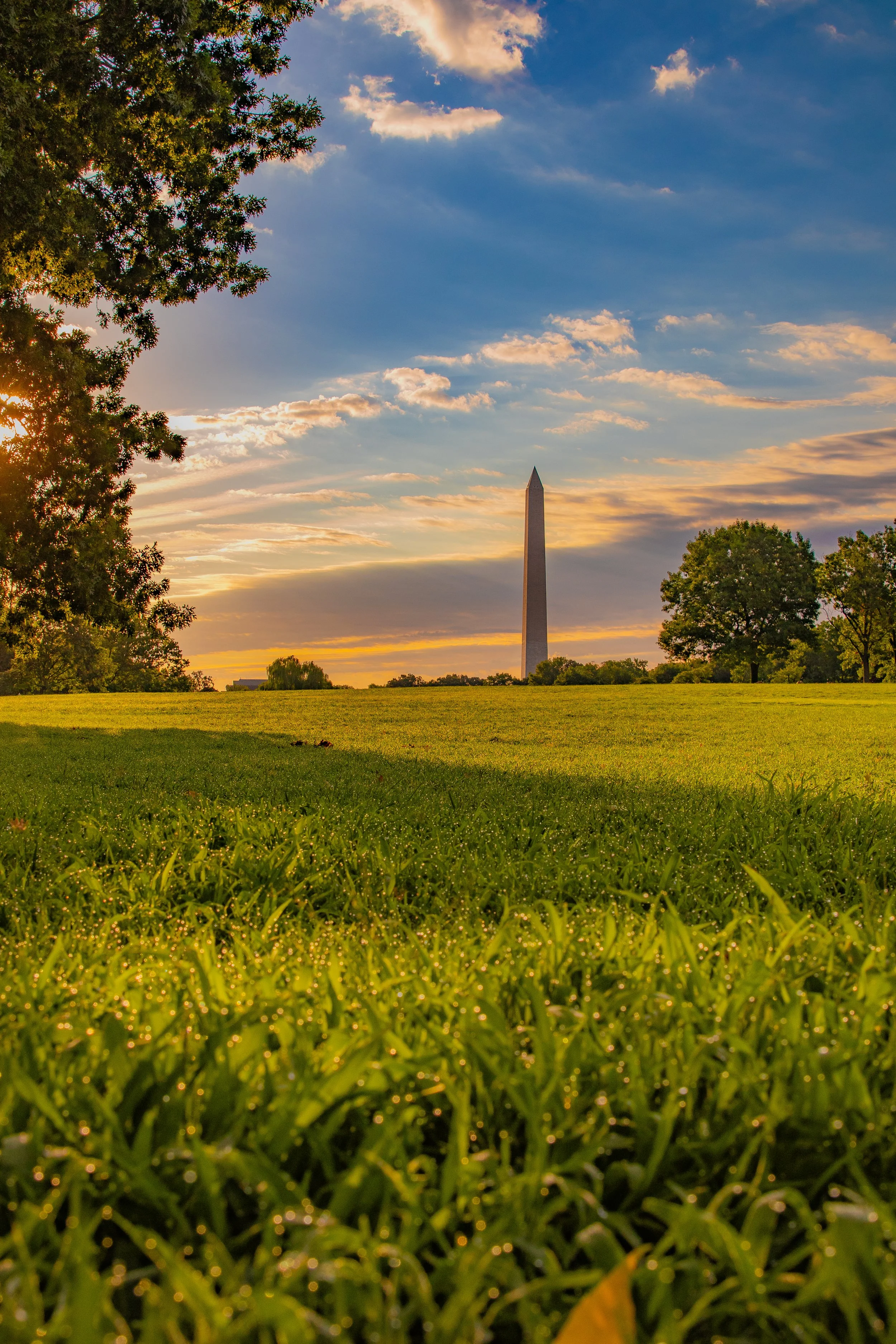 monument early light.jpg