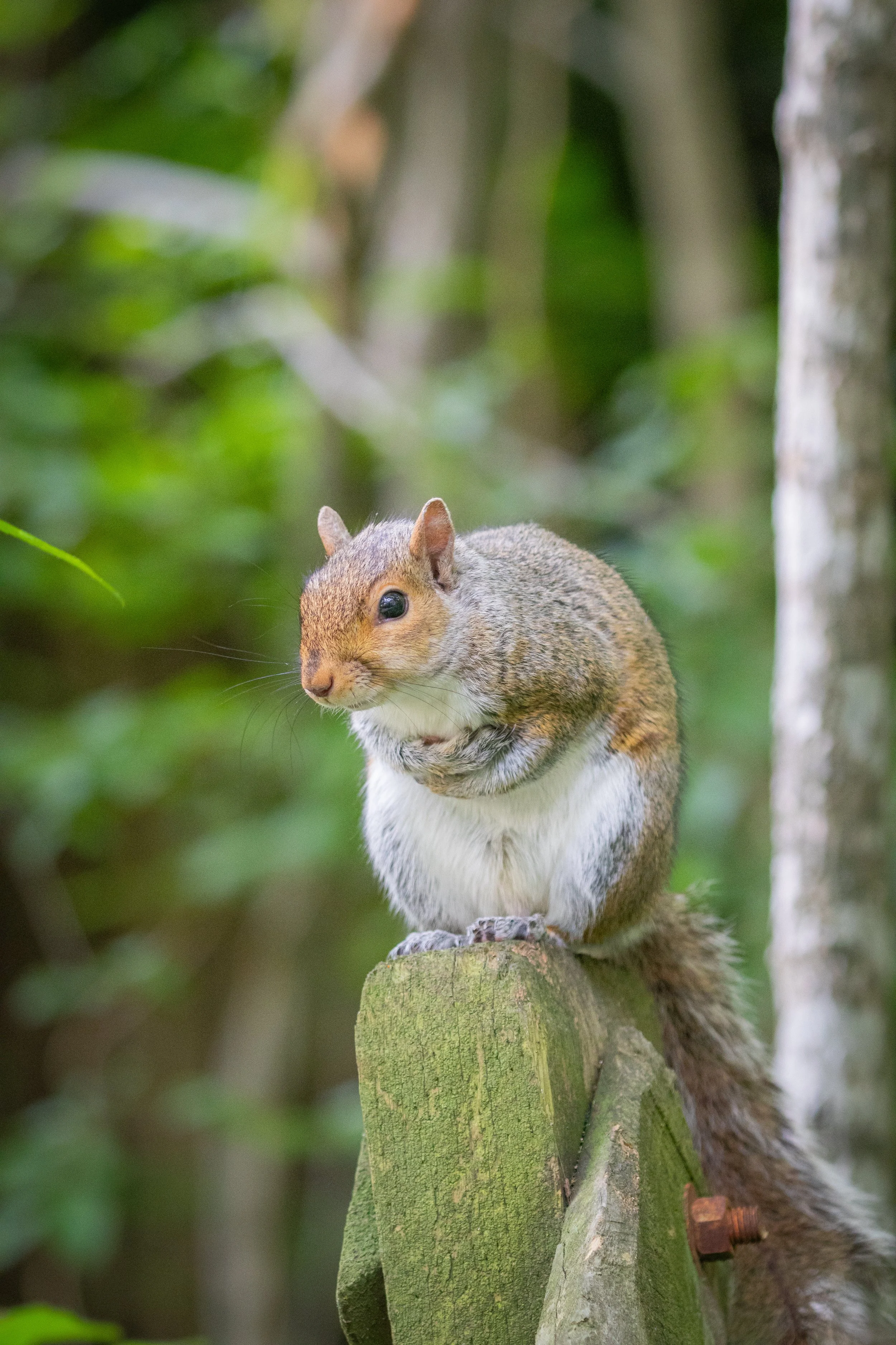 chill in the air.jpg