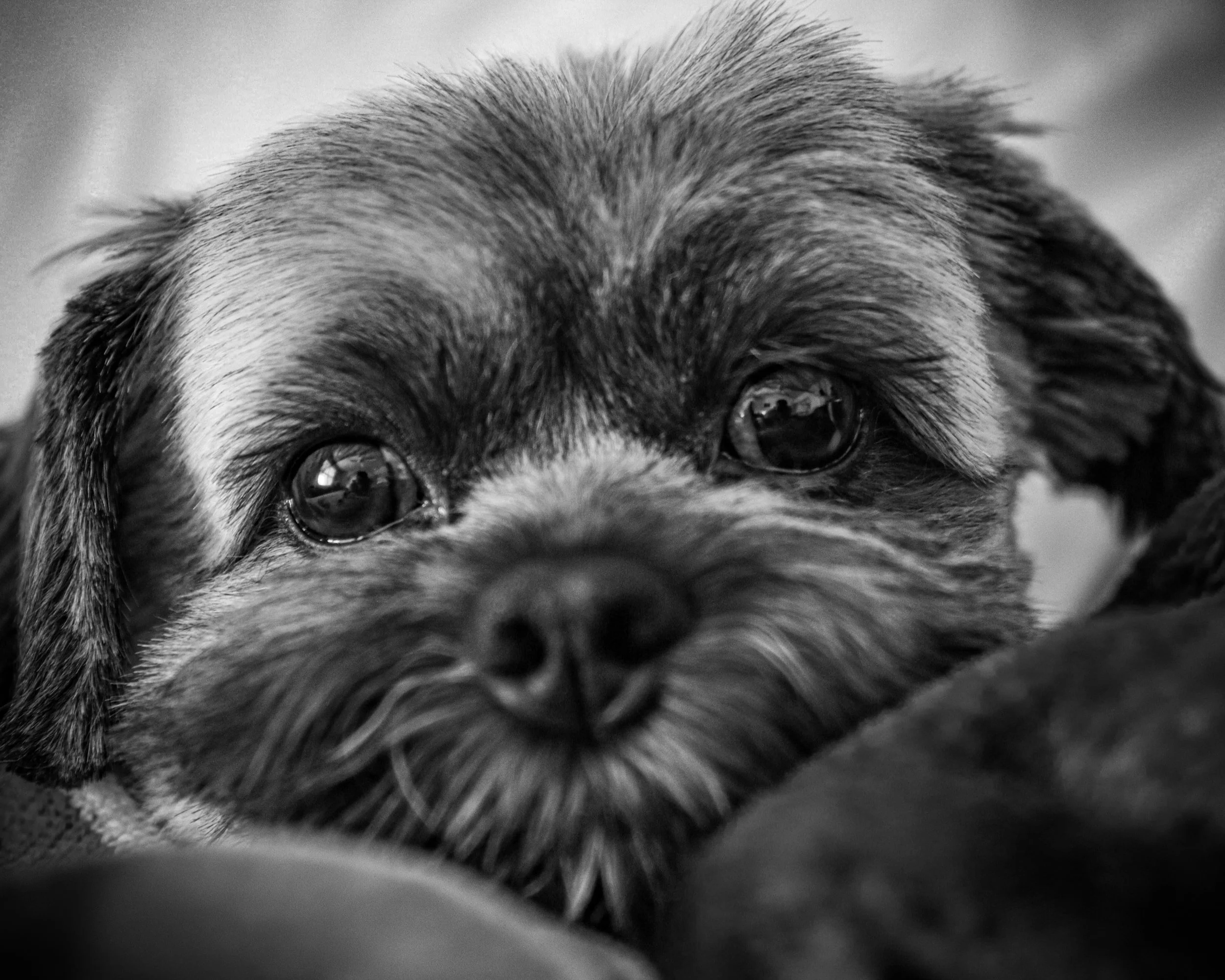 who ever blinks first looses..jpg