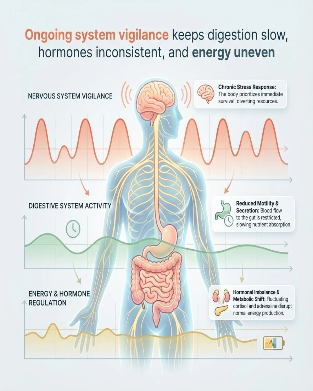 If healing feels exhausting, it&rsquo;s often because the body is still braced.

Bracing is not a mindset problem.
It&rsquo;s a nervous system habit.

When the system stays on guard, digestion slows.
Hormones struggle to communicate.
Energy becomes i