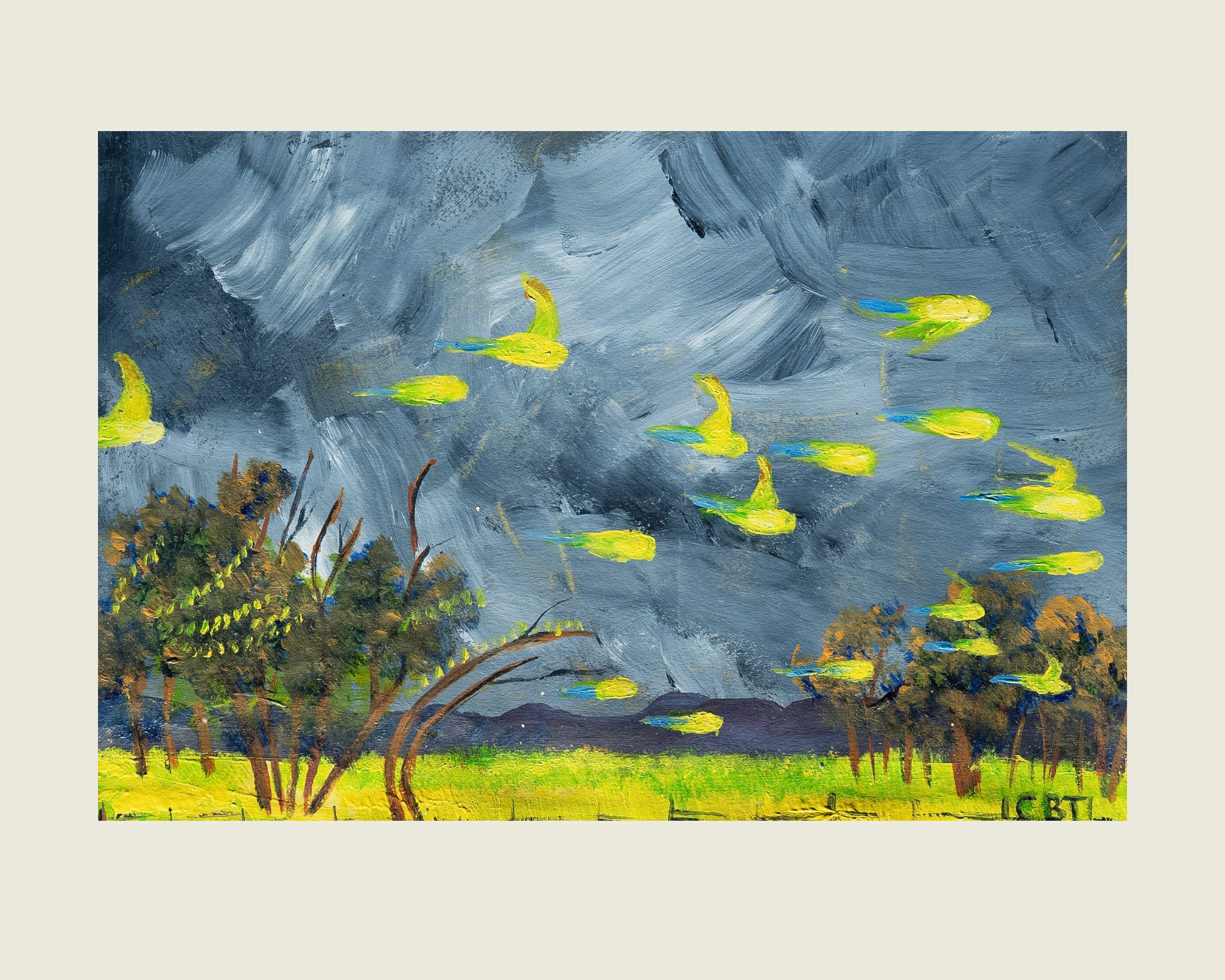 Budgie Study 3.png