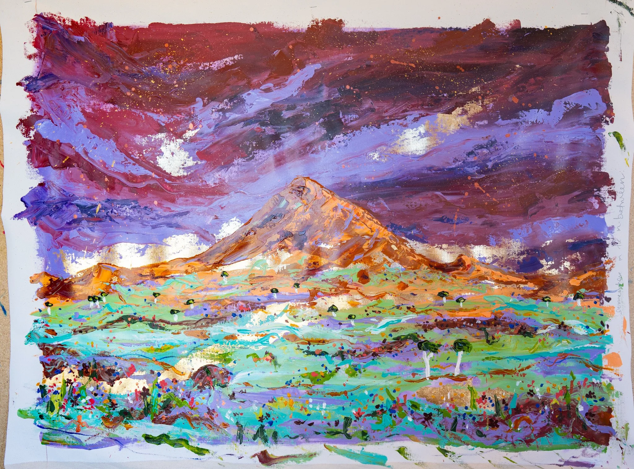 Elle Pervez_Somewhere in the In Between unstretched.jpg