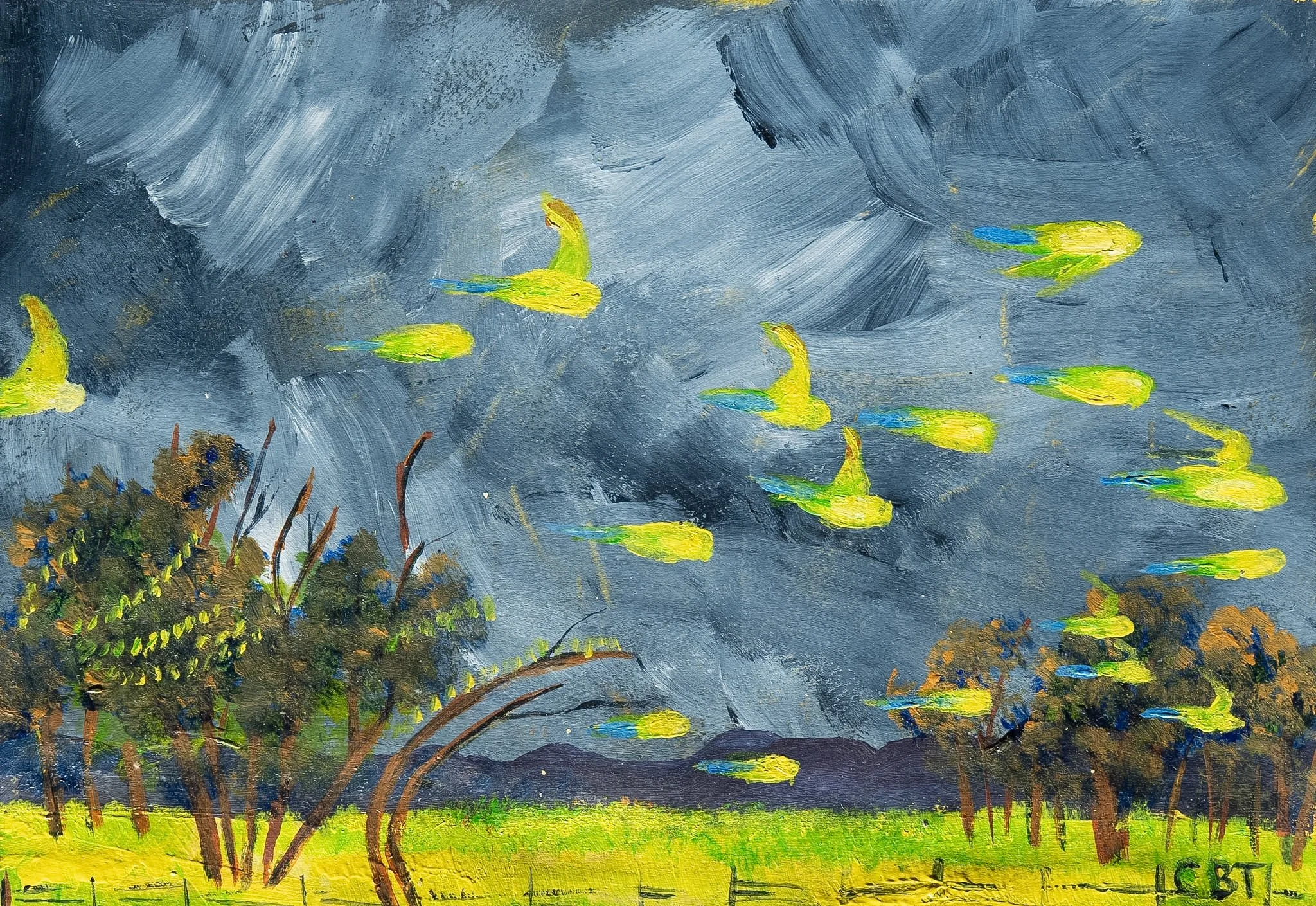 Budgie Study 2.jpg