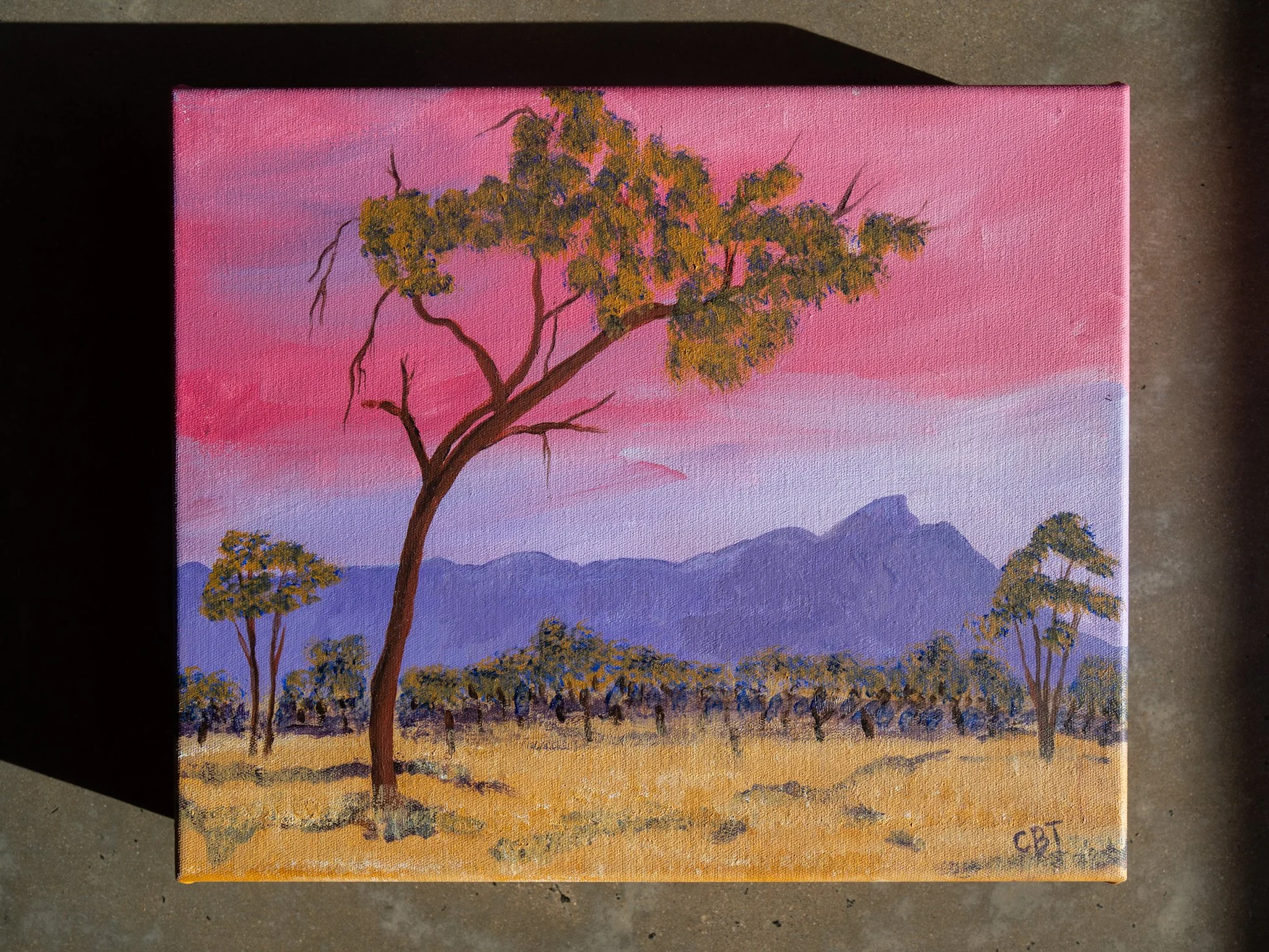 Carolyn BrennanTucker_Track to the Airstrip 2.jpg